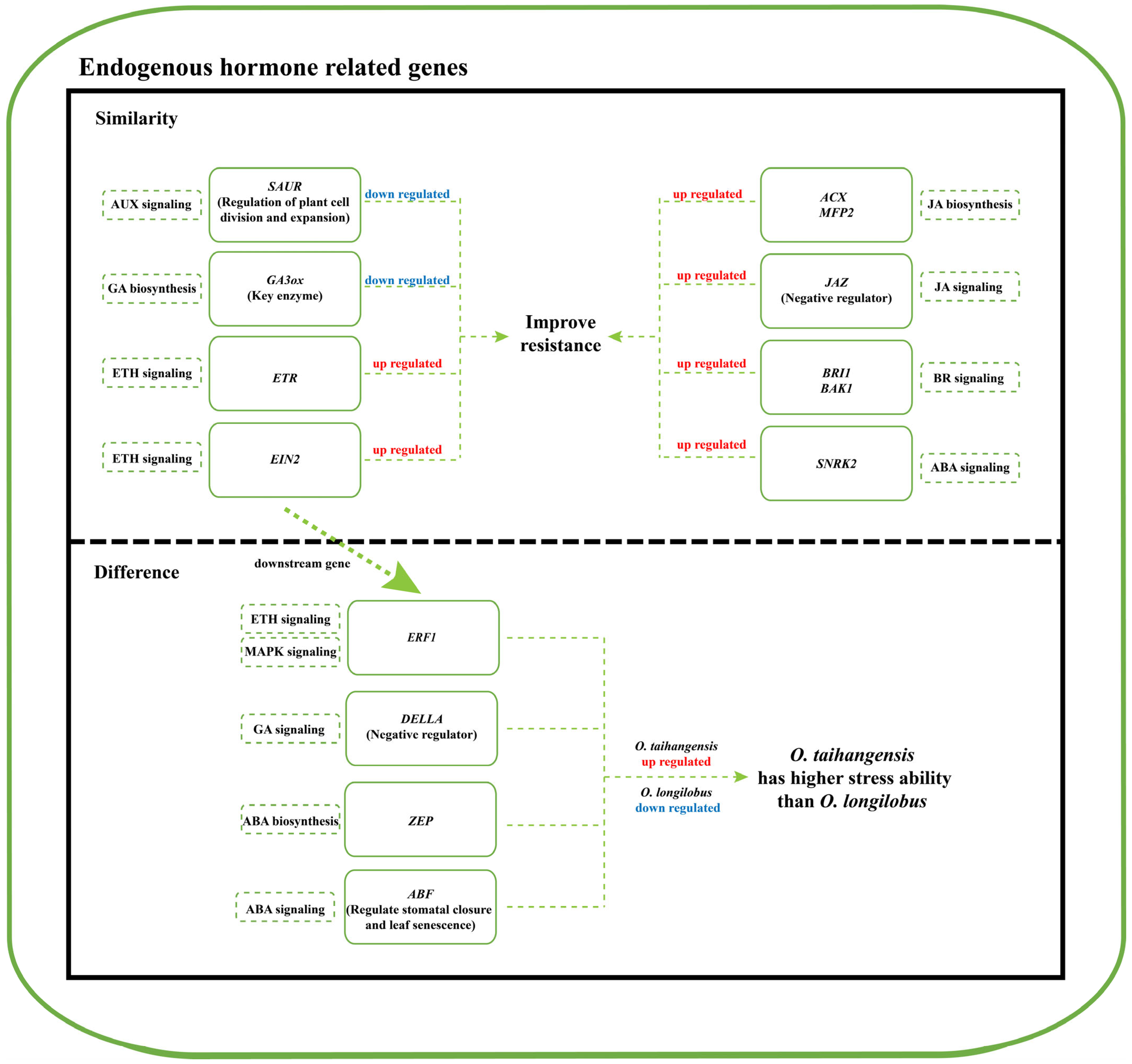 Plants 13 00557 g008 Plants 13 00557 g008