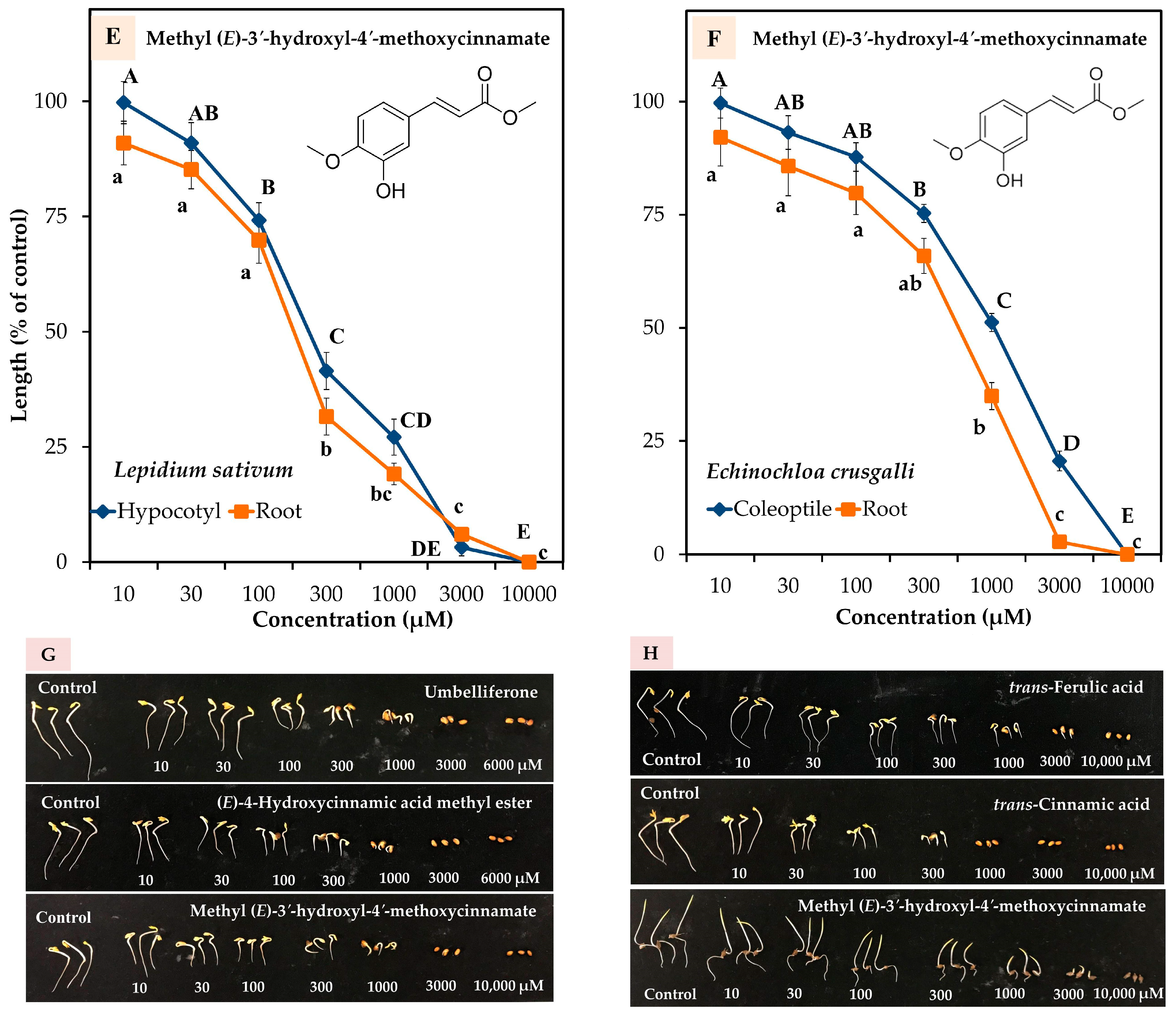 Plants 13 00559 g005b