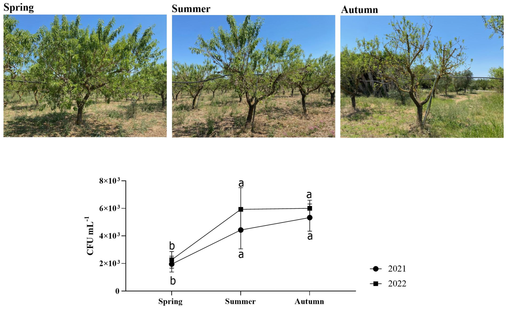 Plants Free Full Text A Physiological and Molecular Focus on