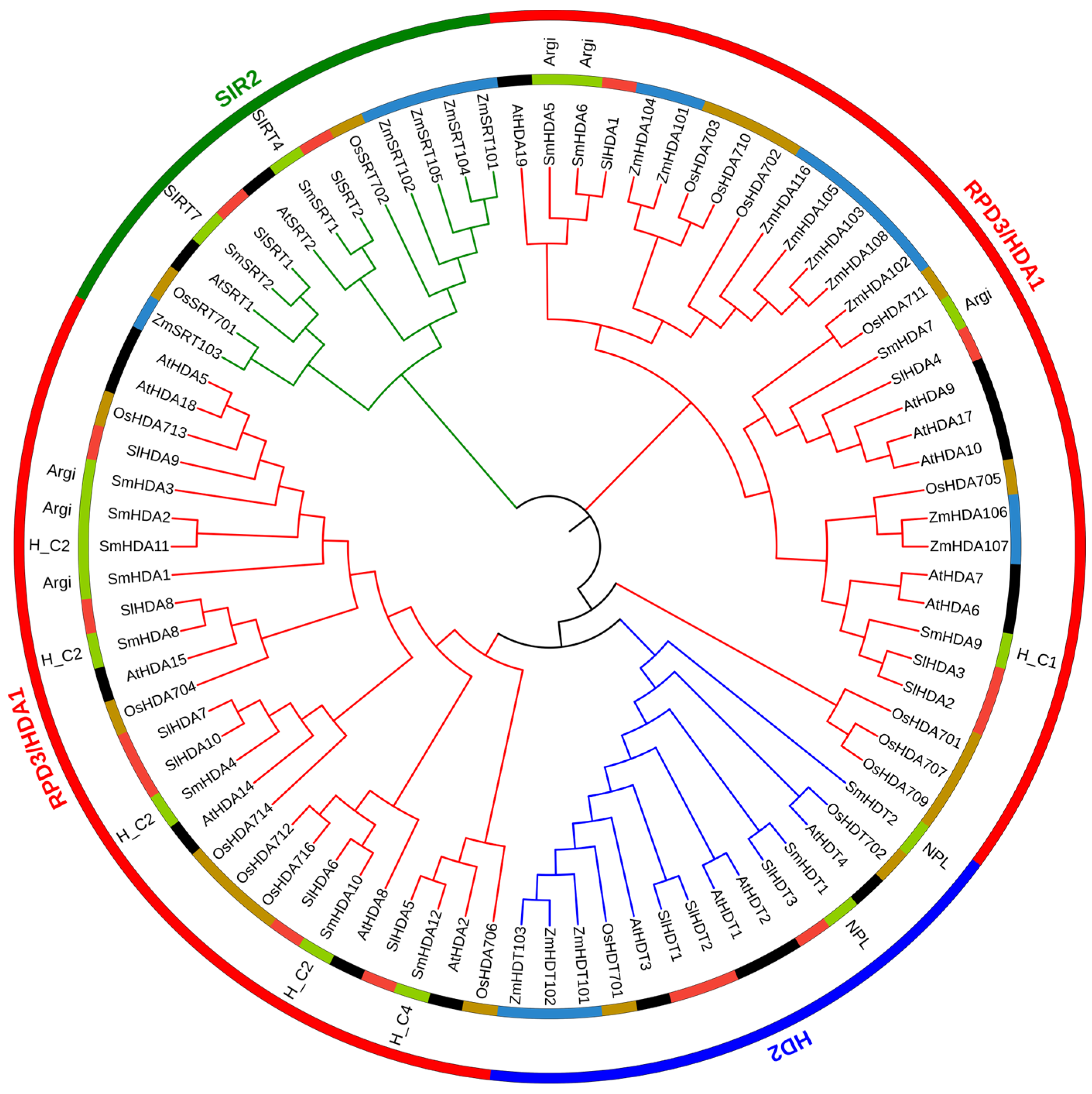 Plants 13 00580 g001