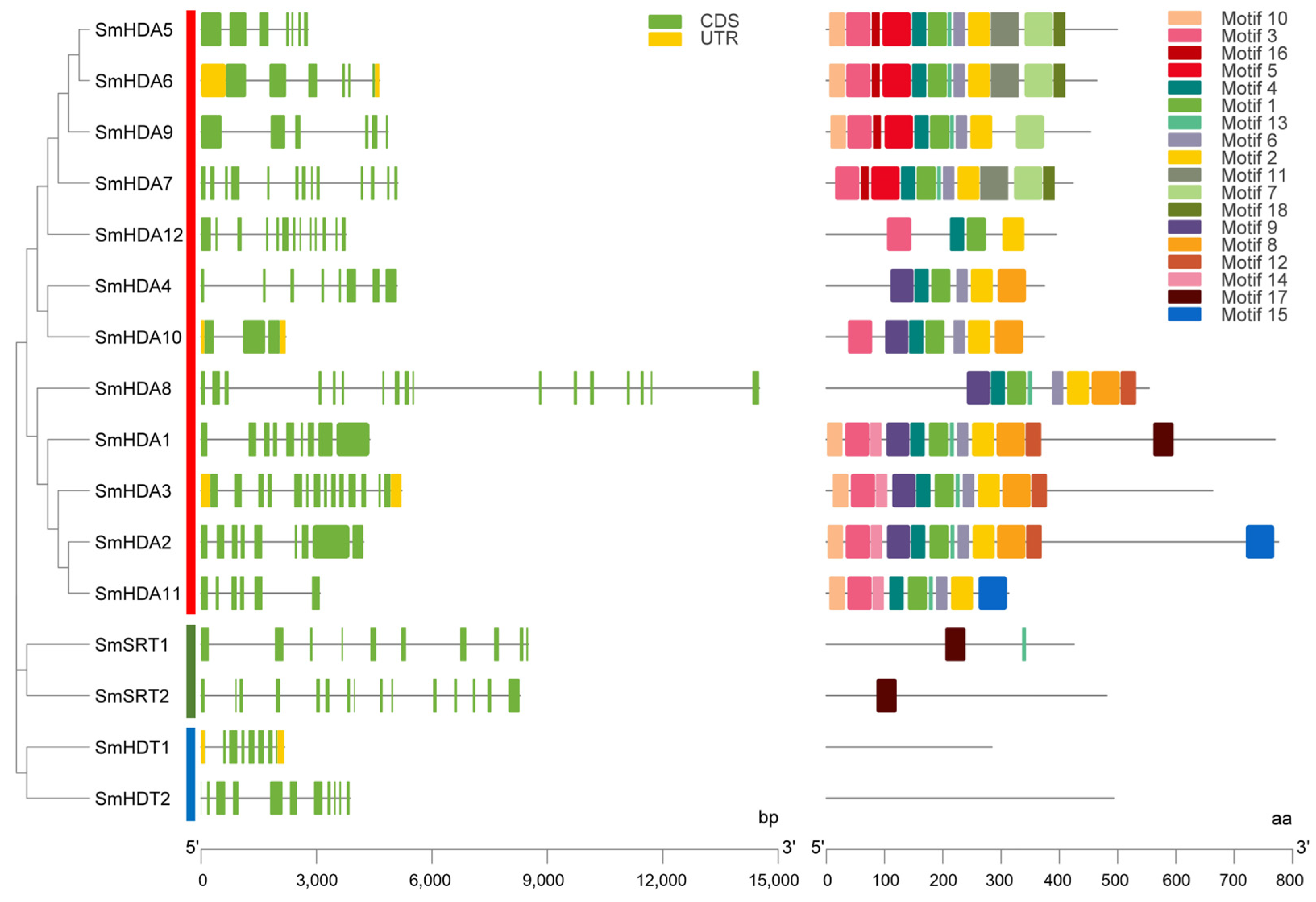 Plants 13 00580 g002
