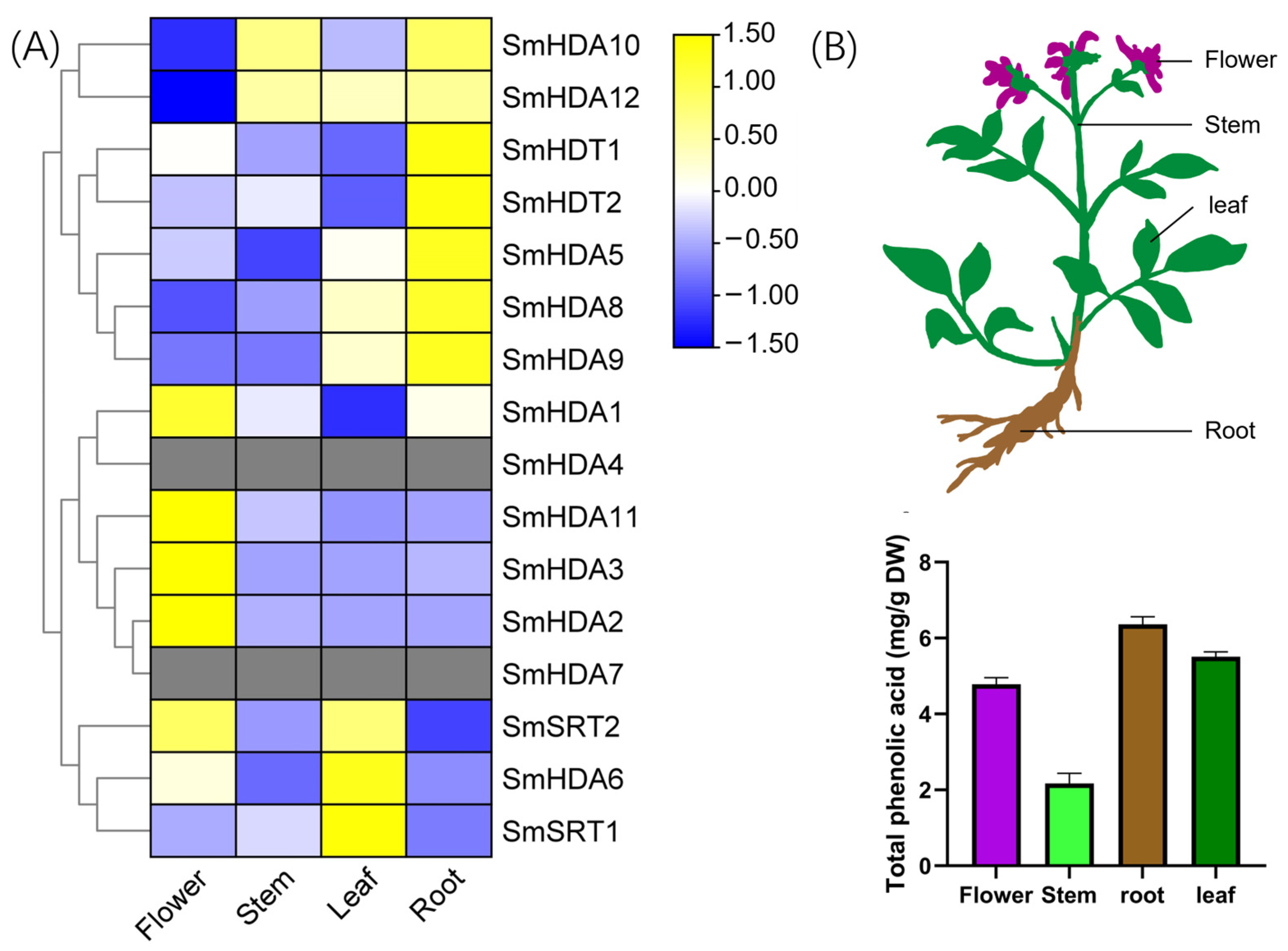 Plants 13 00580 g005