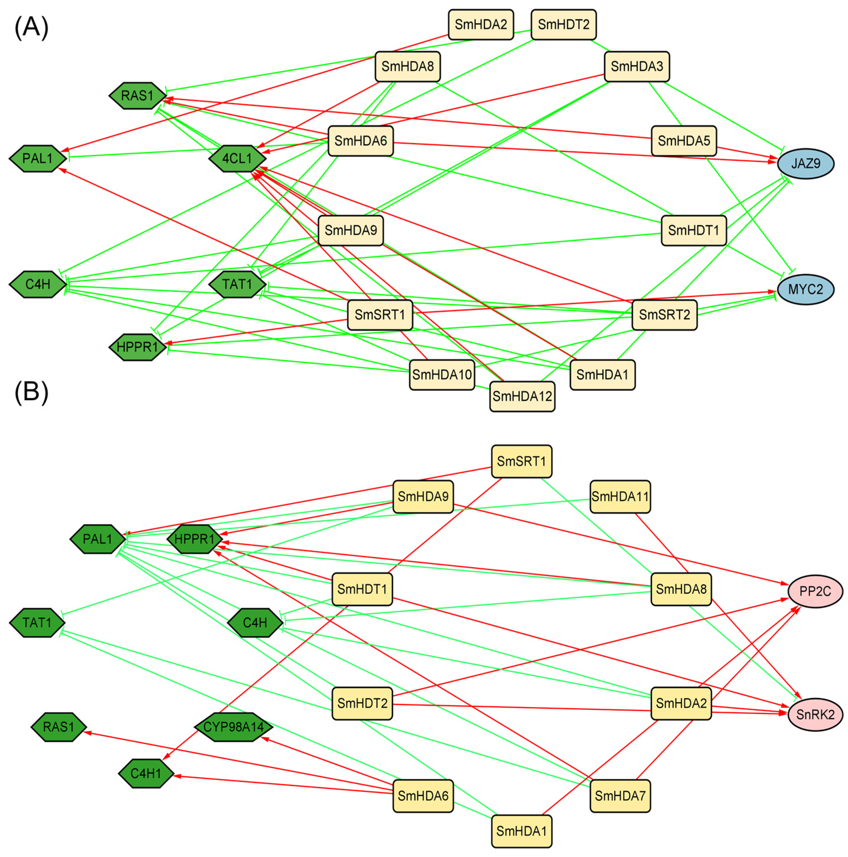 Plants 13 00580 g007