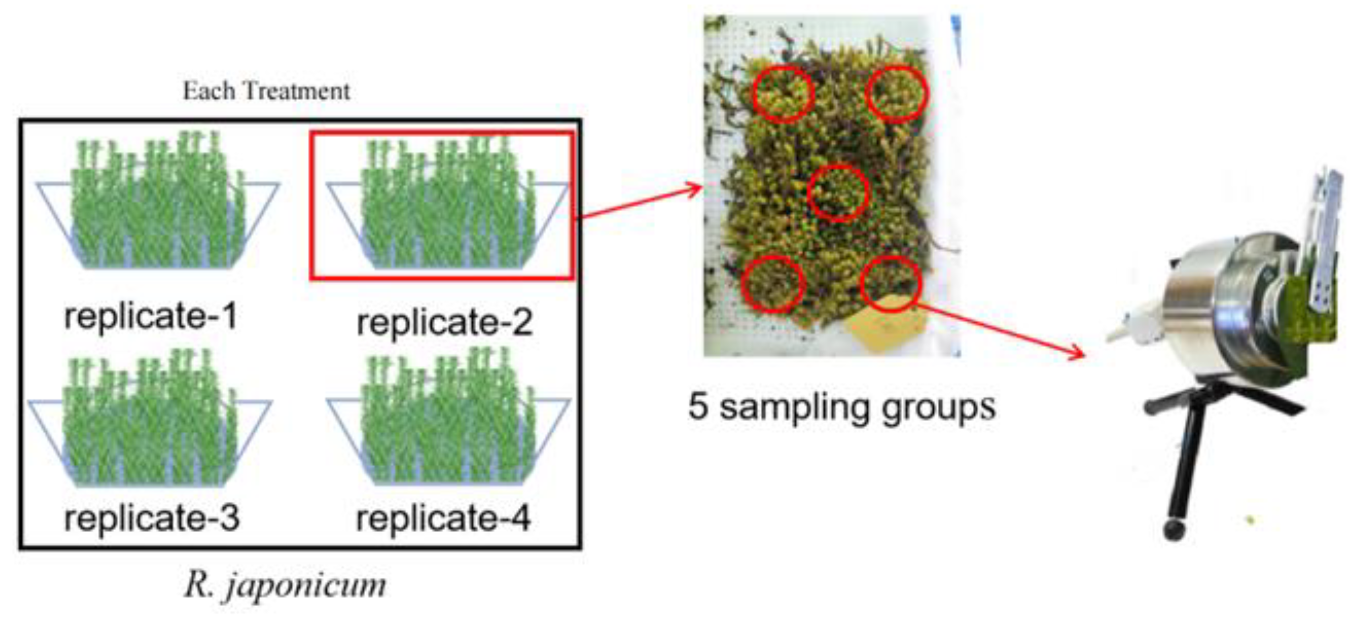 Plants 13 00591 g009