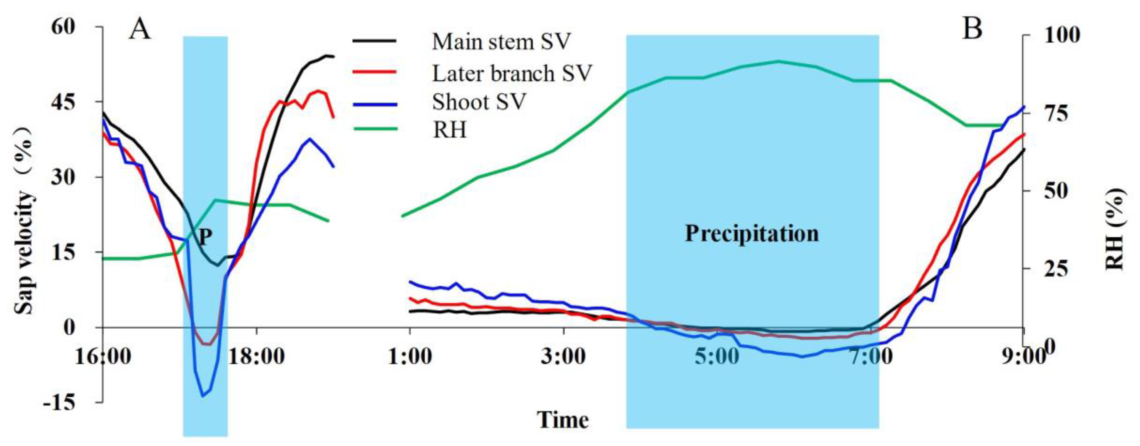 Plants 13 00594 g006