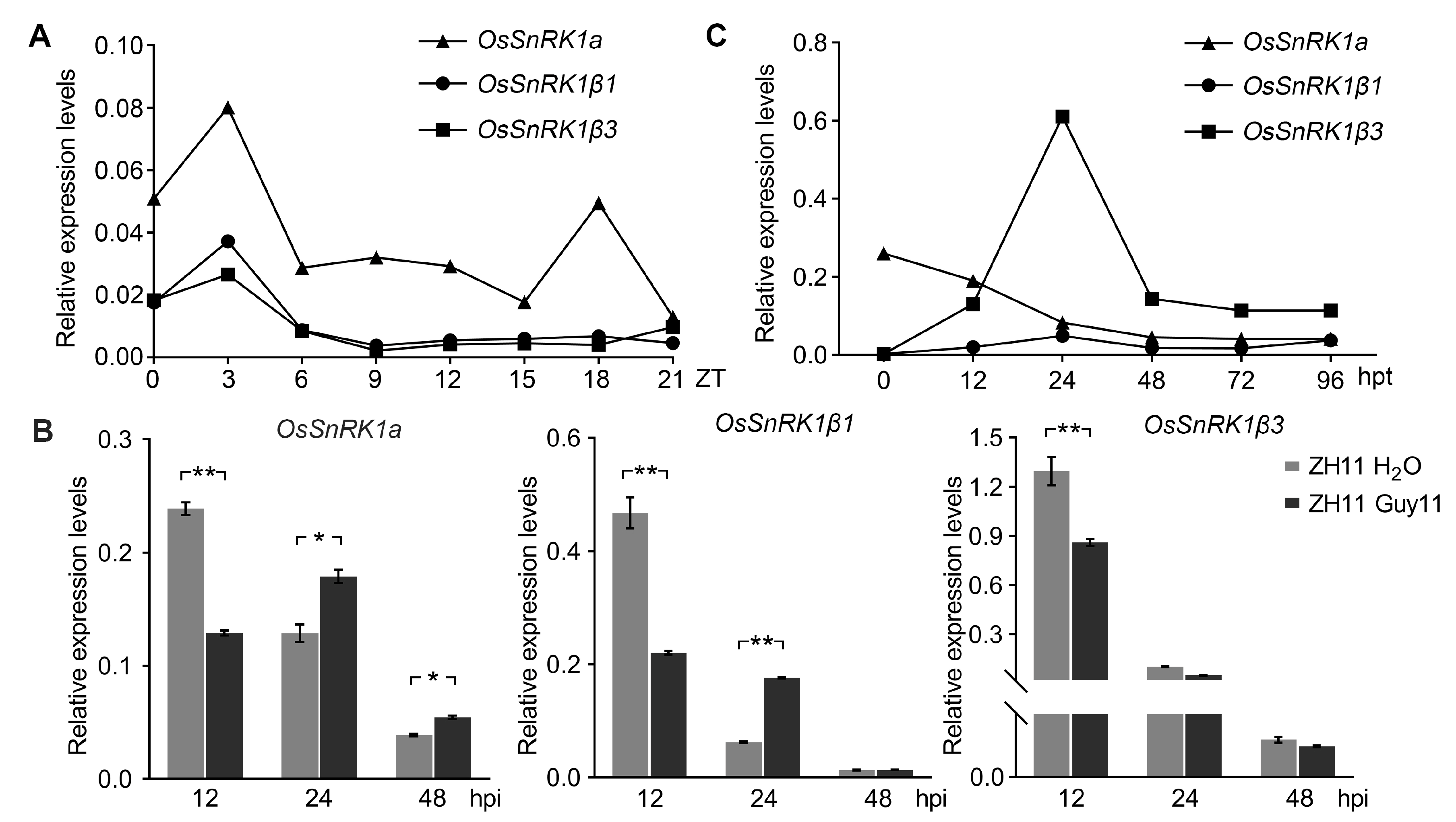 Plants 13 00596 g006