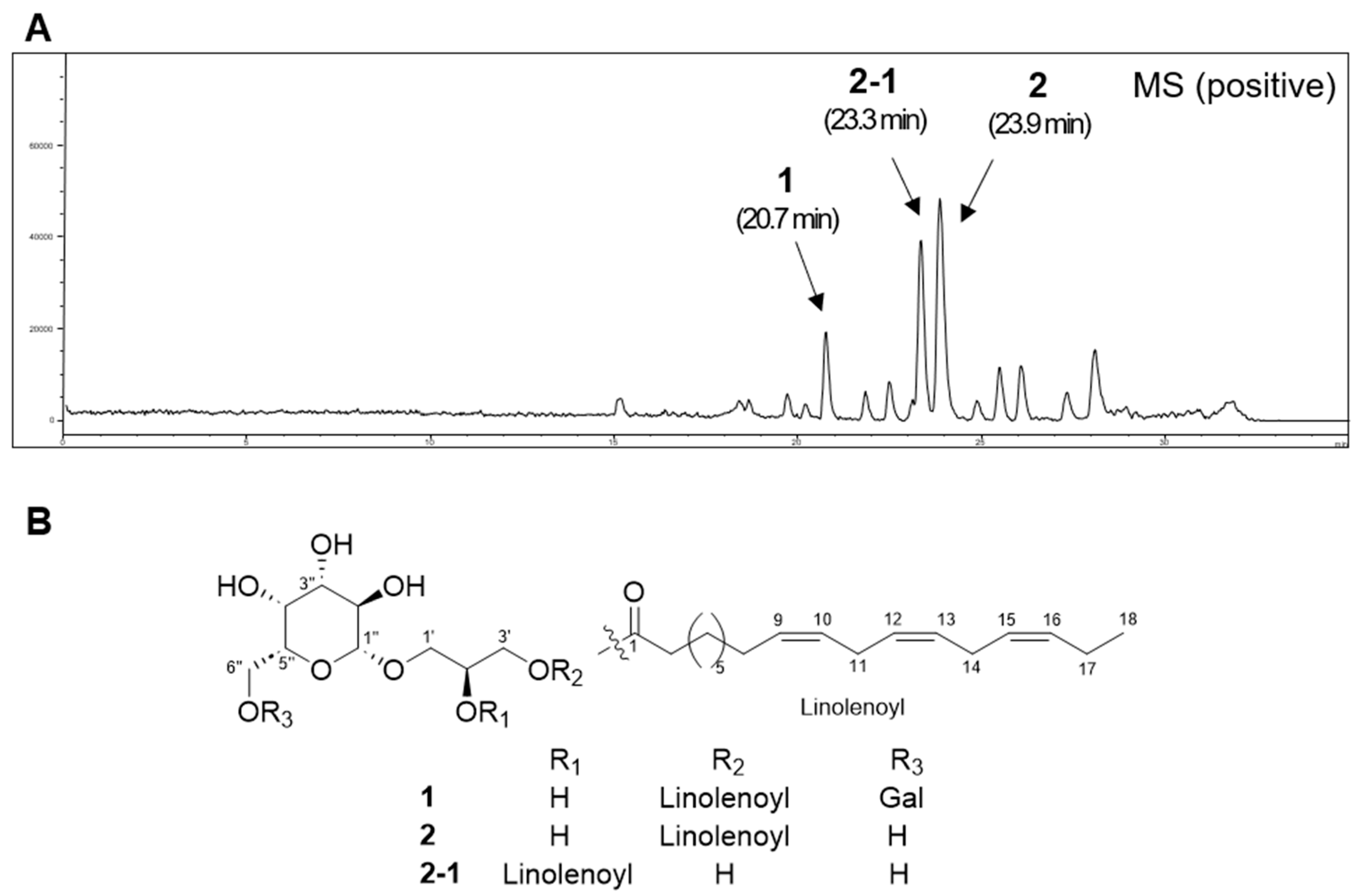 Plants 13 00608 g002