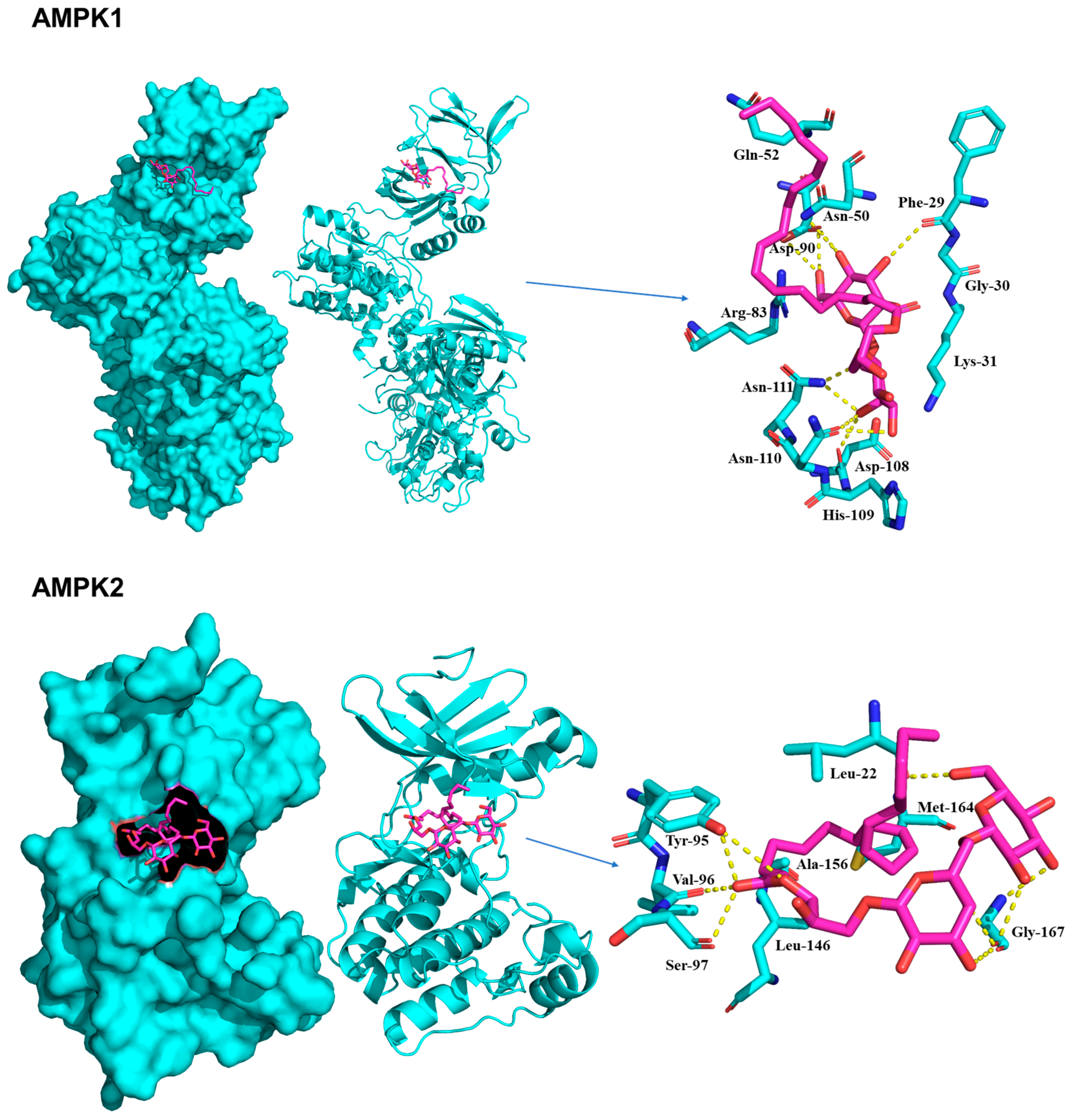 Plants 13 00608 g006