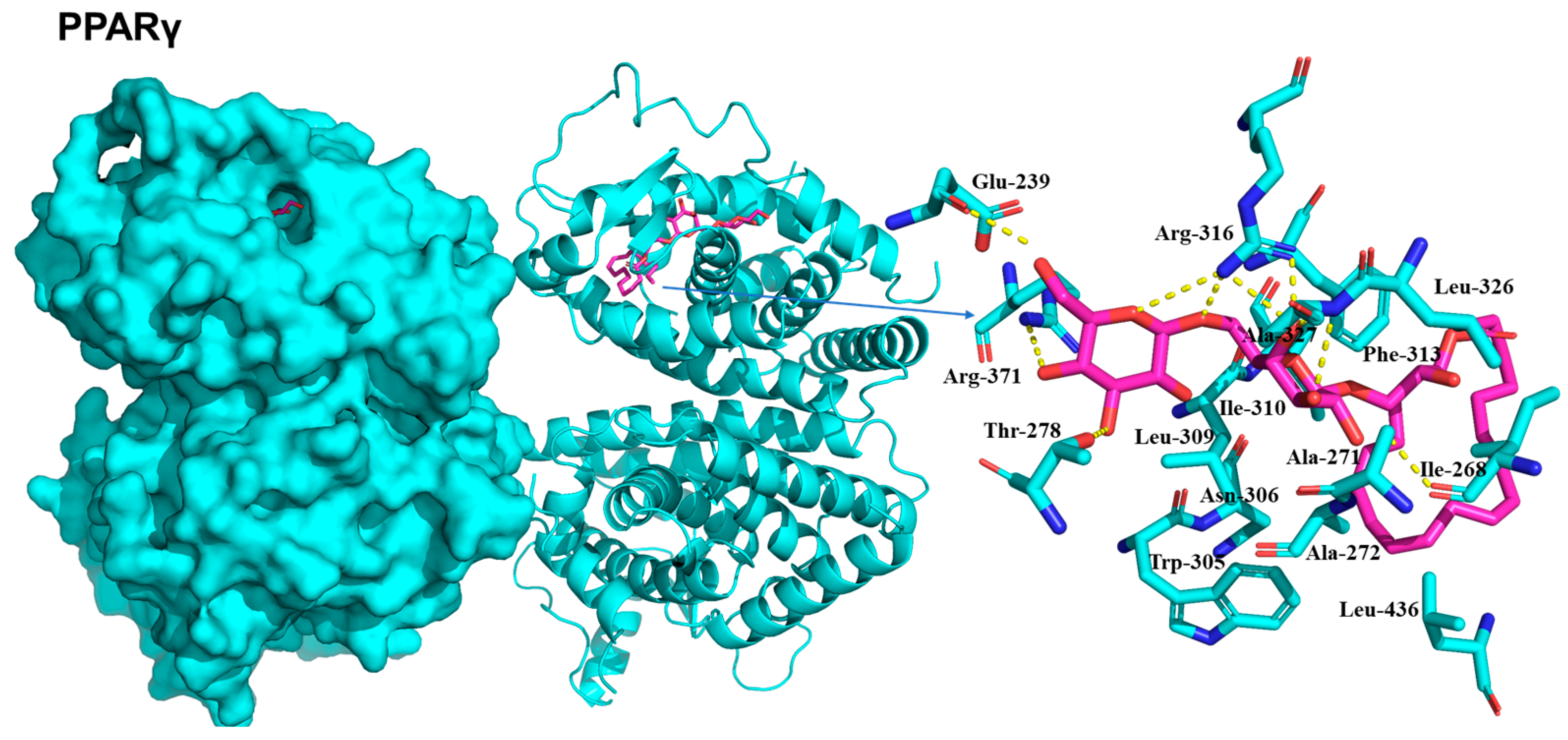 Plants 13 00608 g007