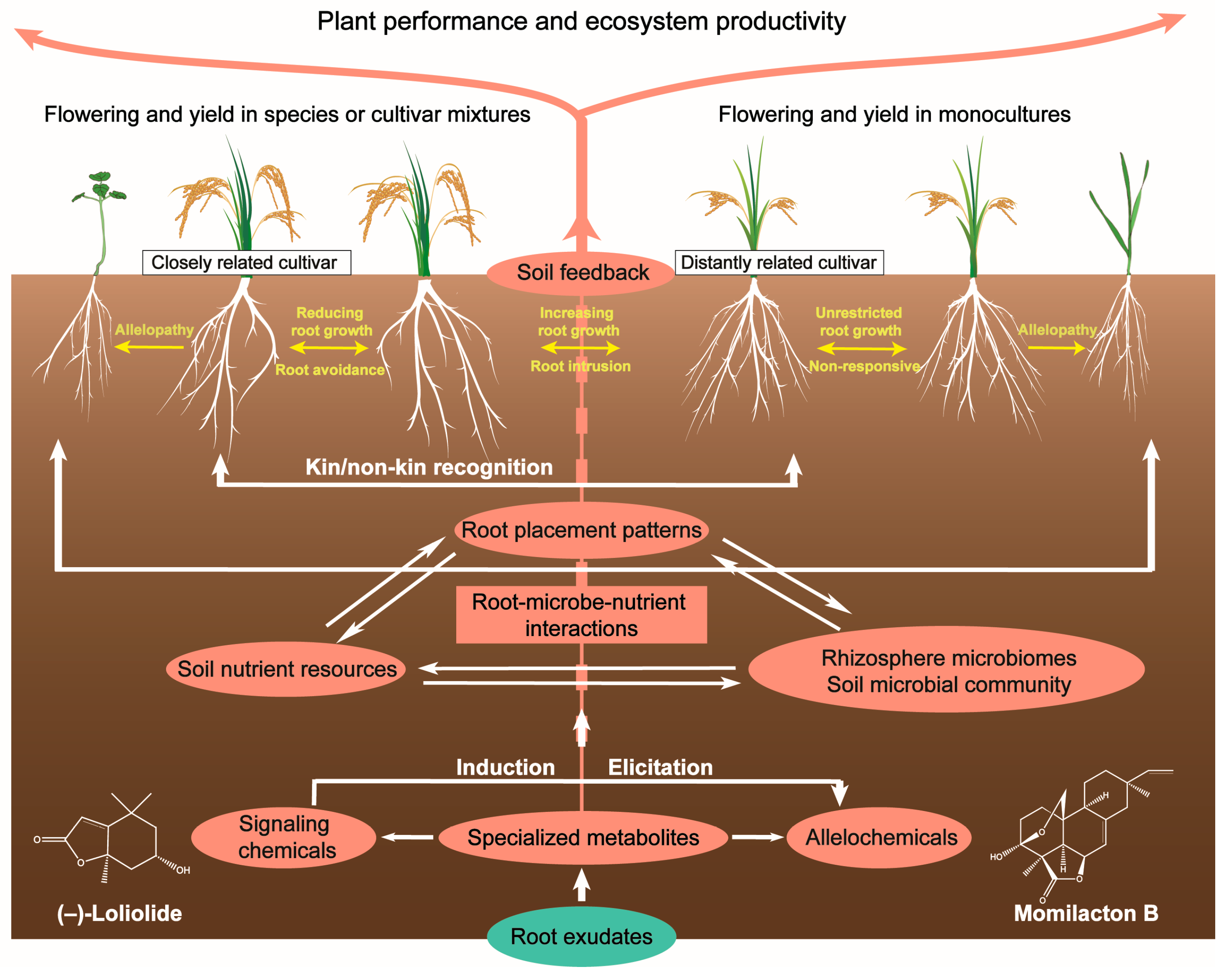 Plants 13 00626 g002
