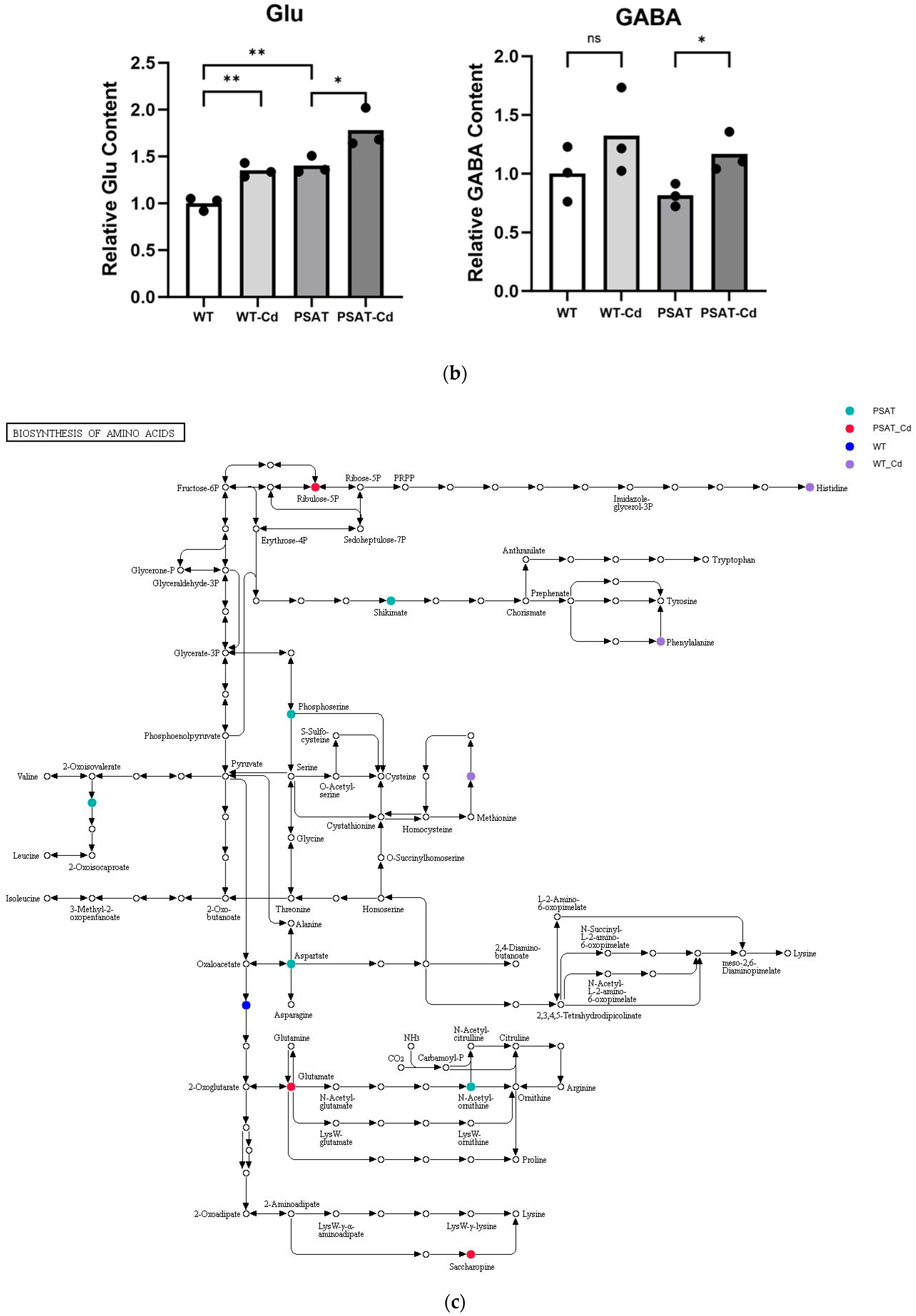 Plants 13 00627 g005b