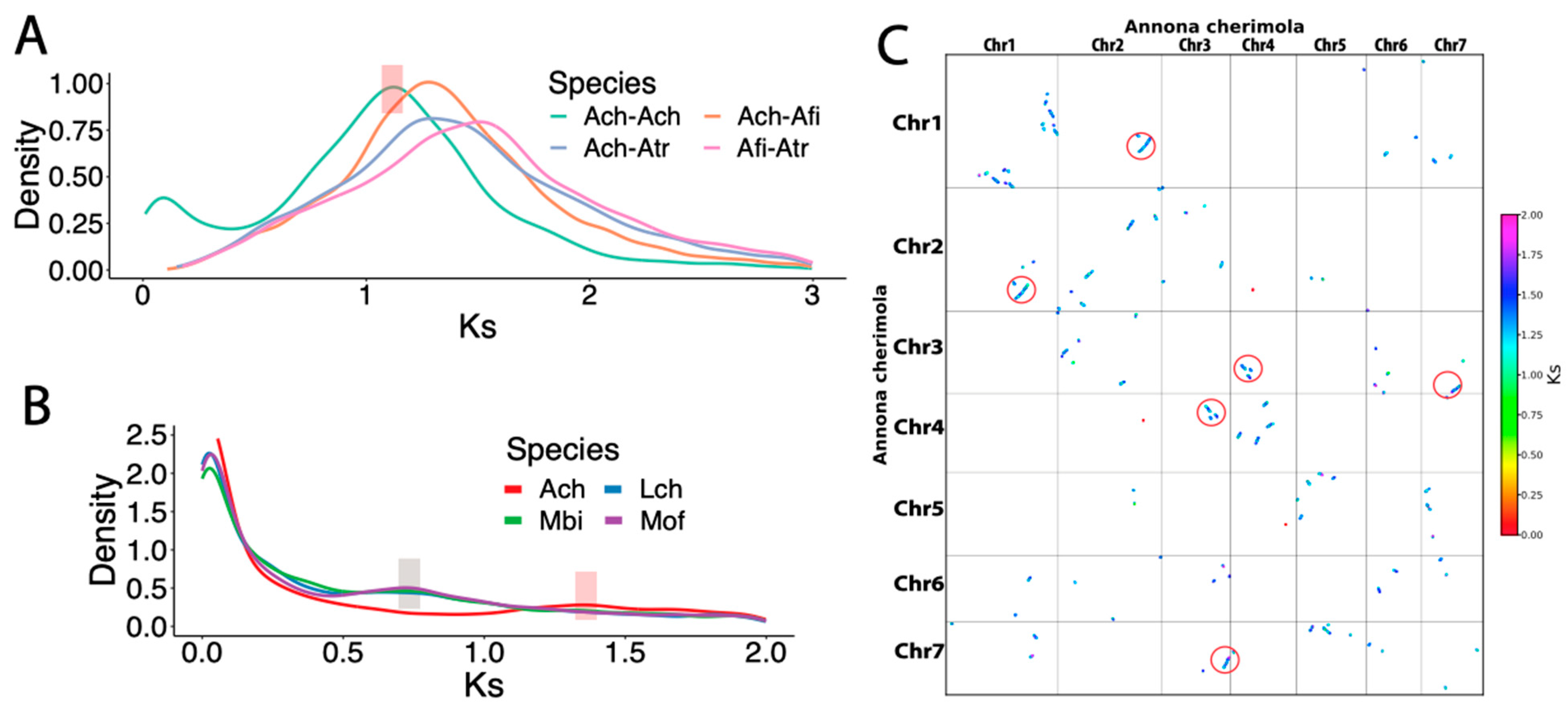 Plants 13 00636 g002