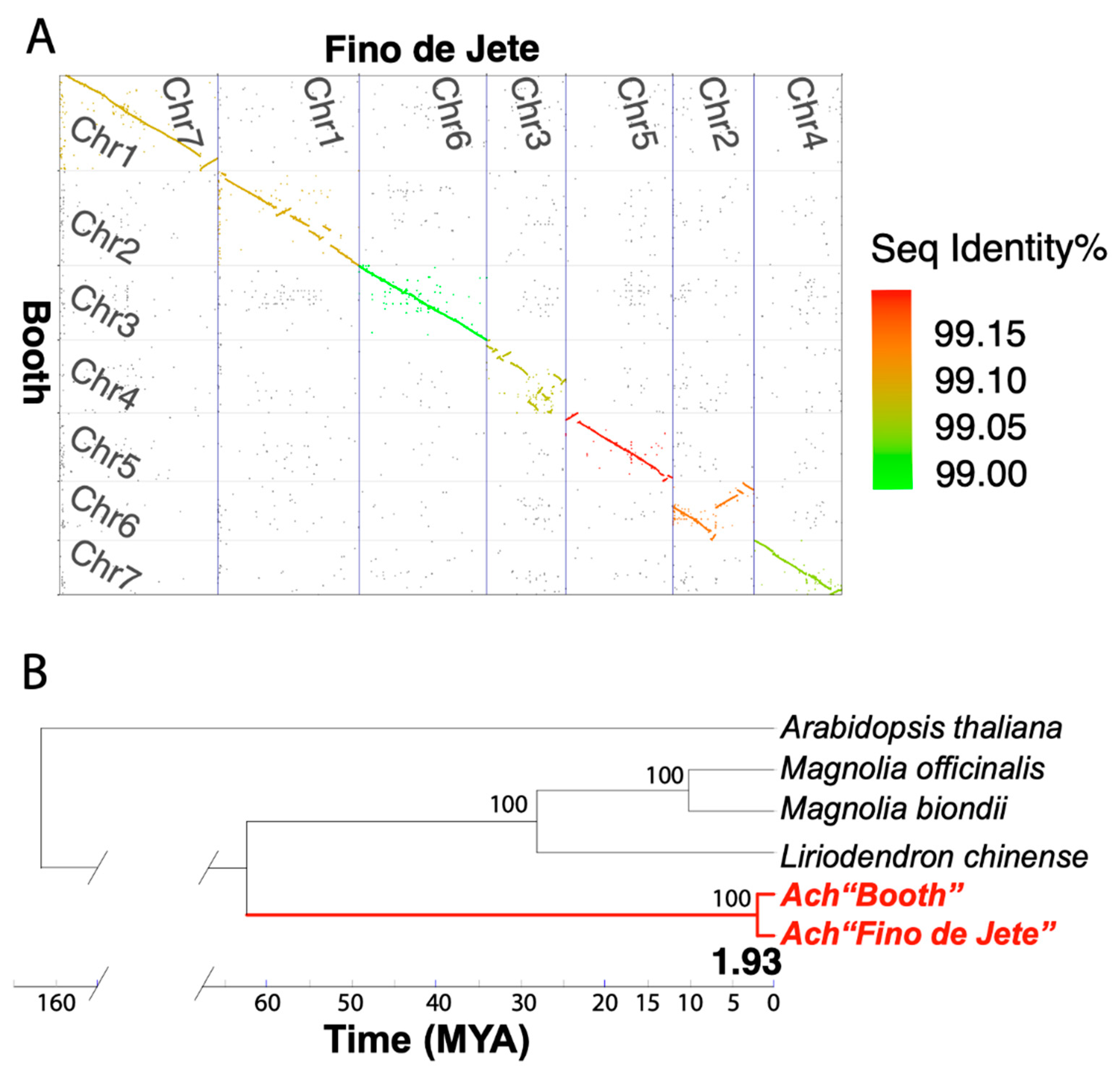 Plants 13 00636 g004
