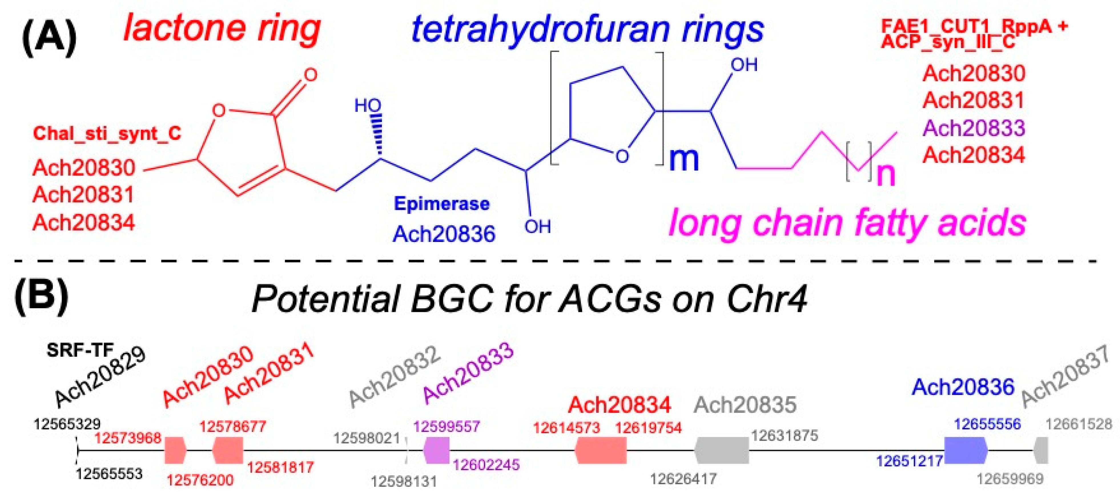 Plants 13 00636 g007