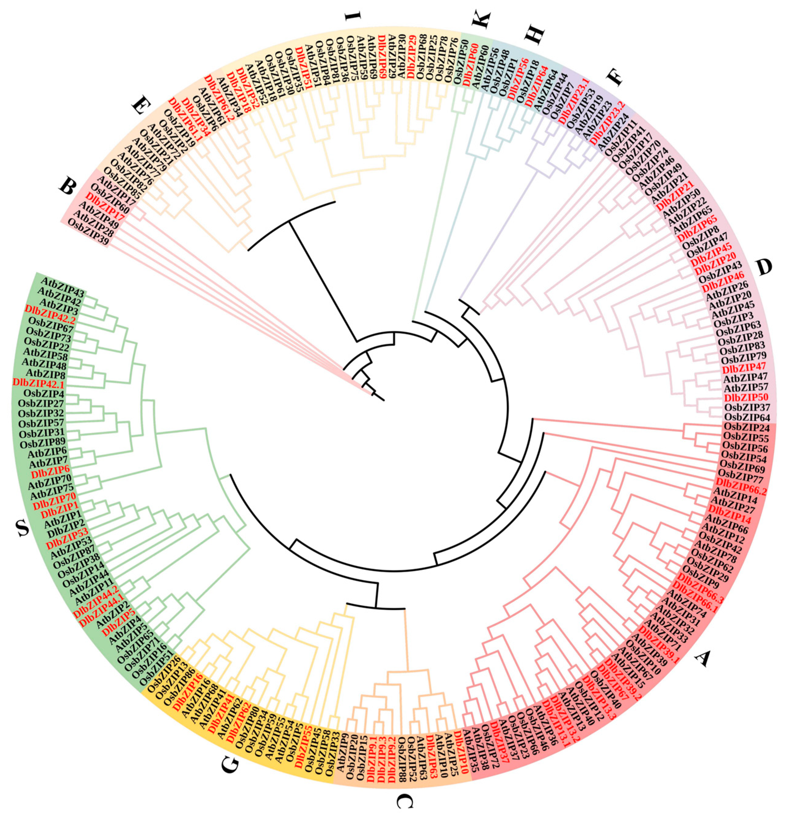 Plants | Free Full-Text | Genome-Wide Identification and 