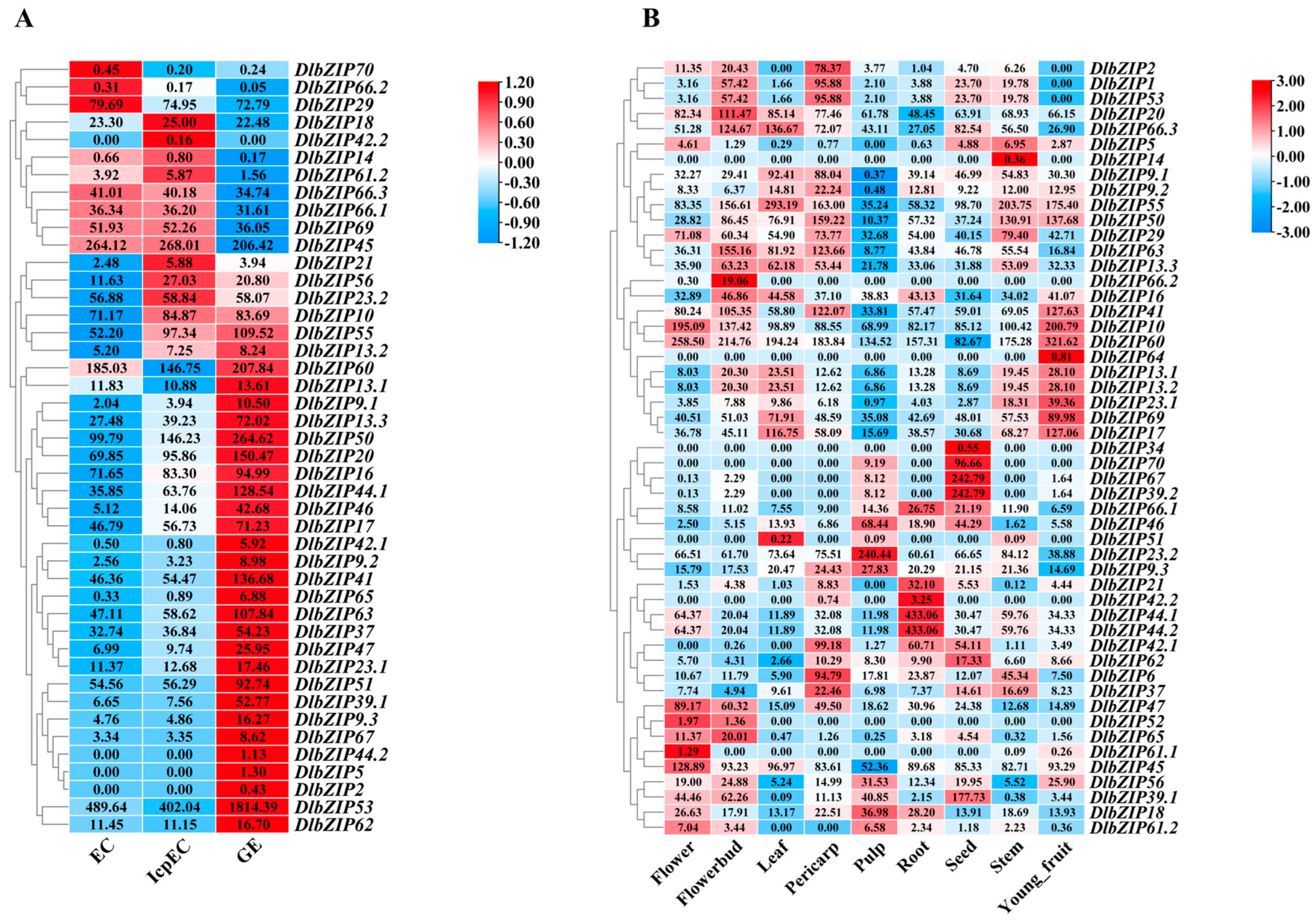 Plants 13 00662 g004a