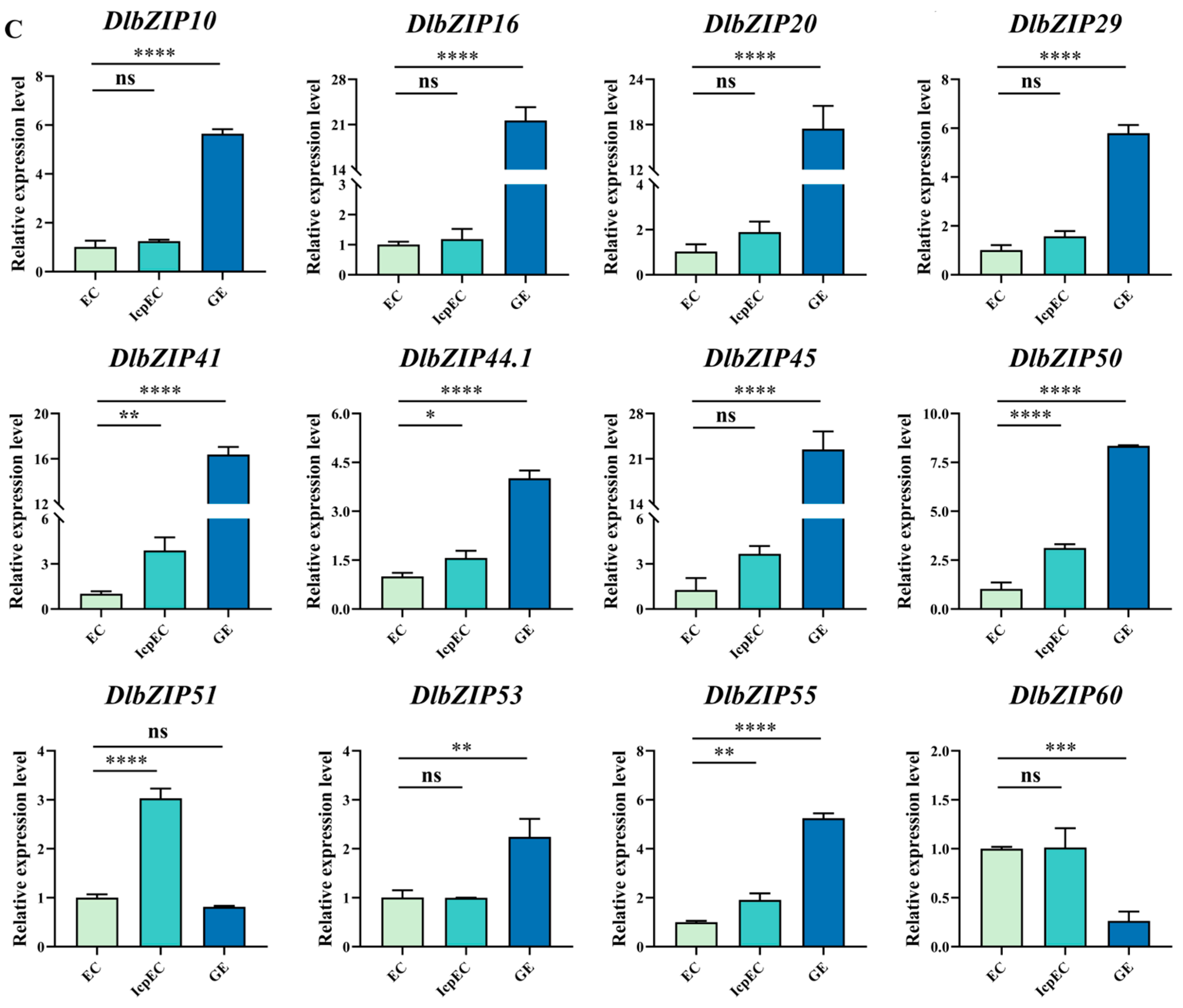 Plants 13 00662 g004b