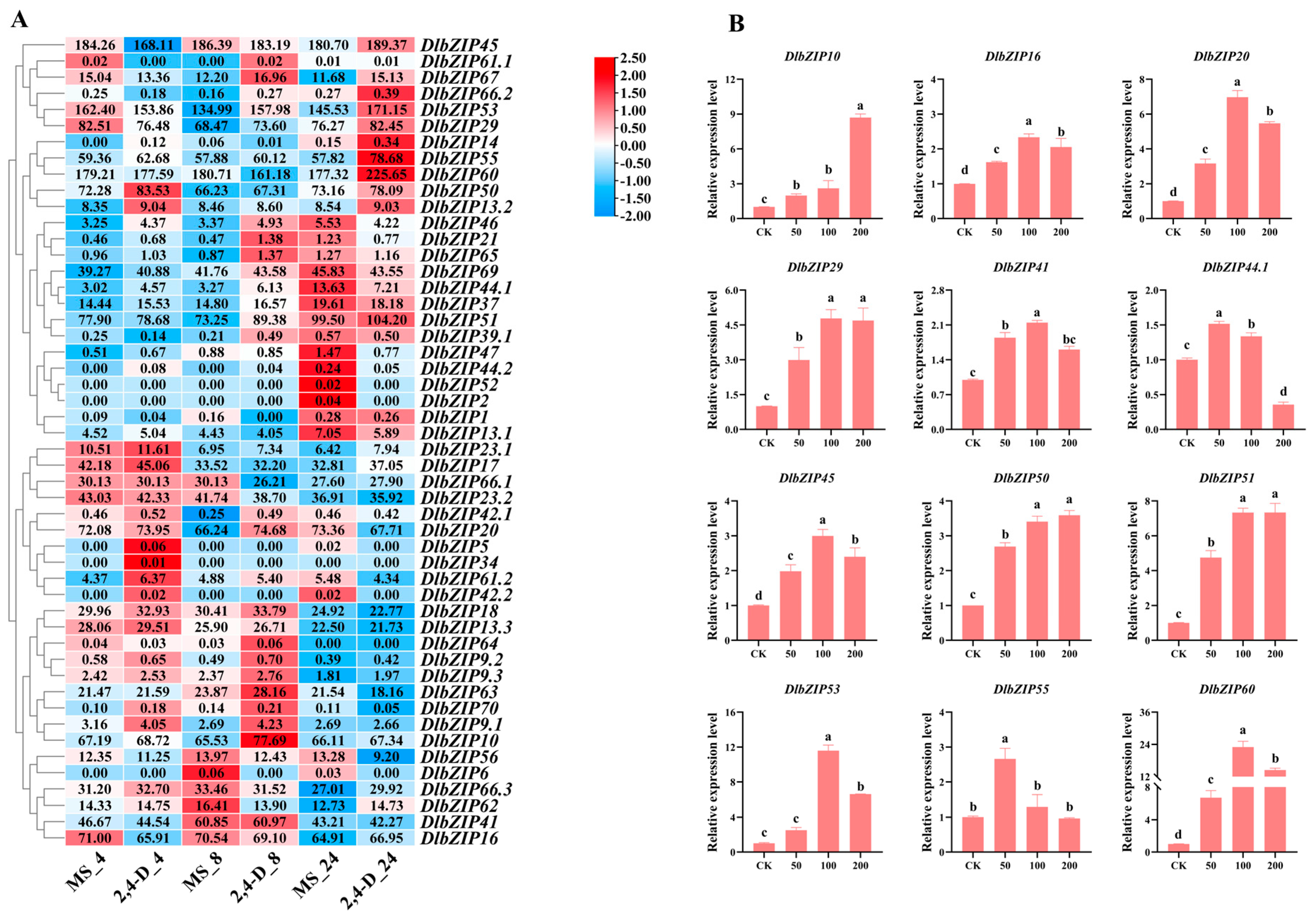Plants 13 00662 g005a