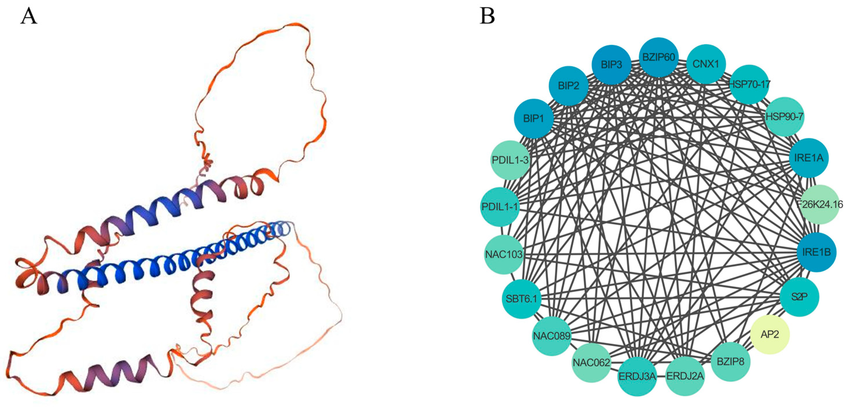 Plants 13 00662 g006