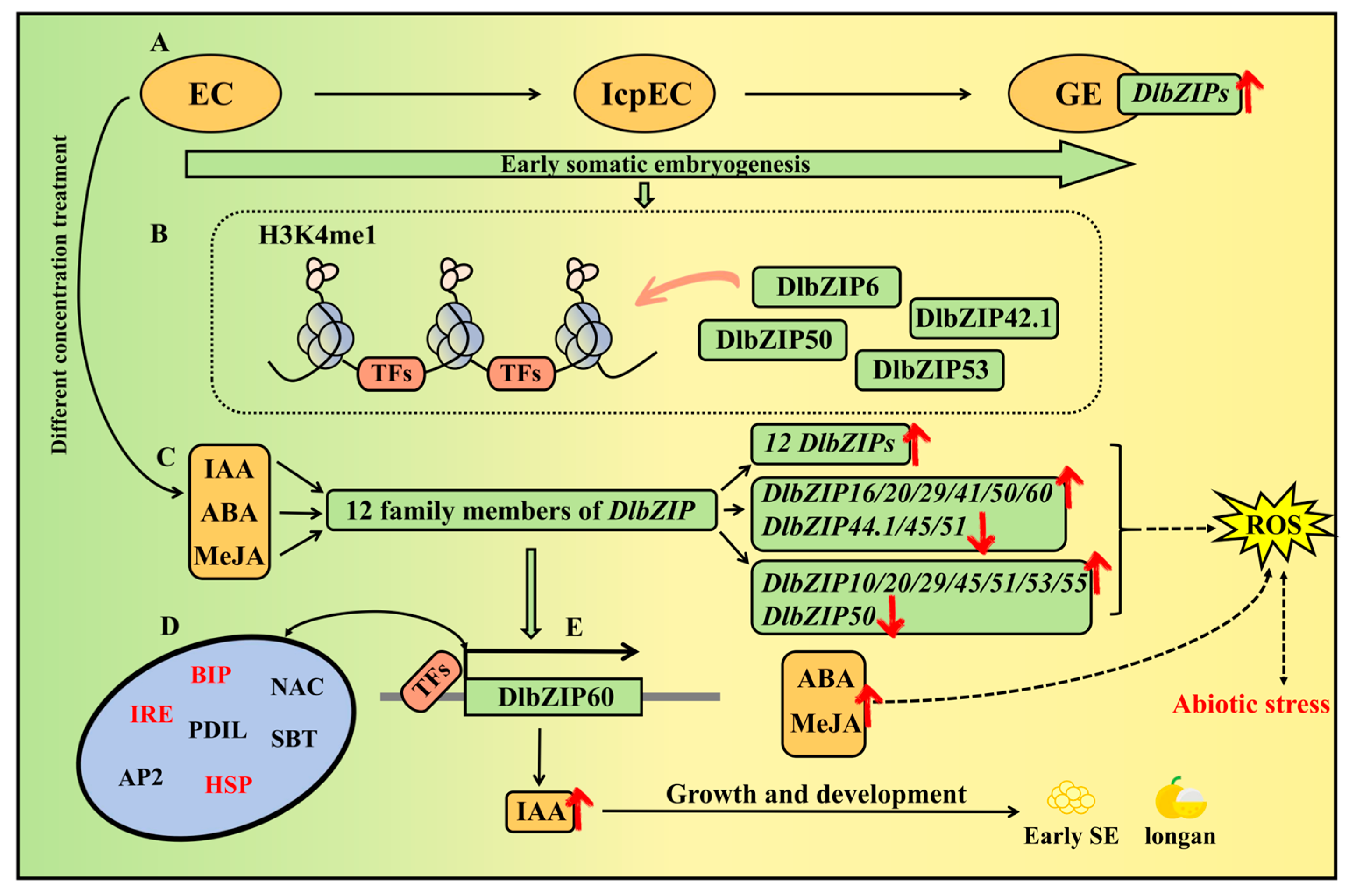 Plants 13 00662 g009