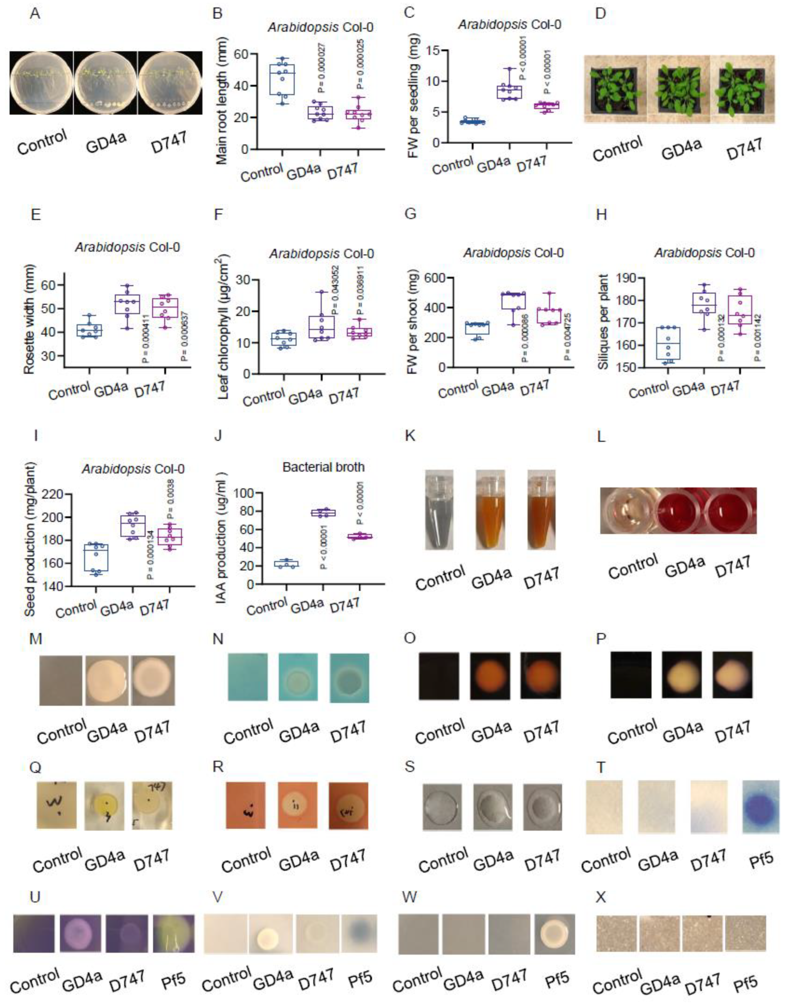 Plants 13 00672 g001 Plants 13 00672 g001