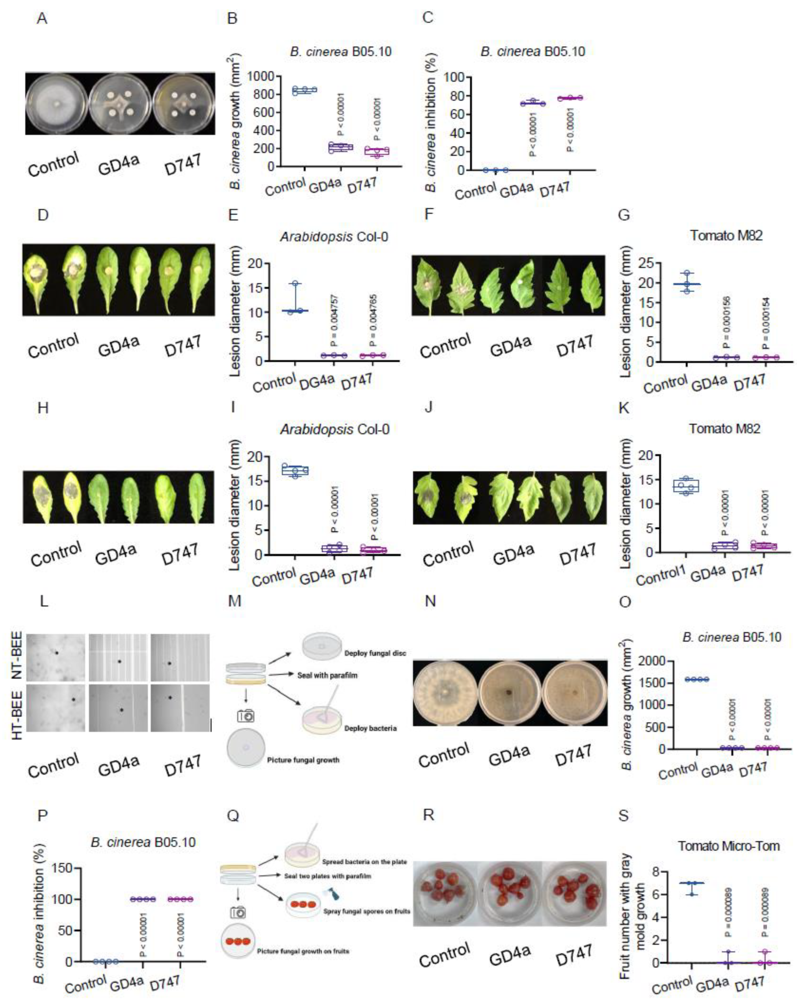 Plants 13 00672 g002 Plants 13 00672 g002