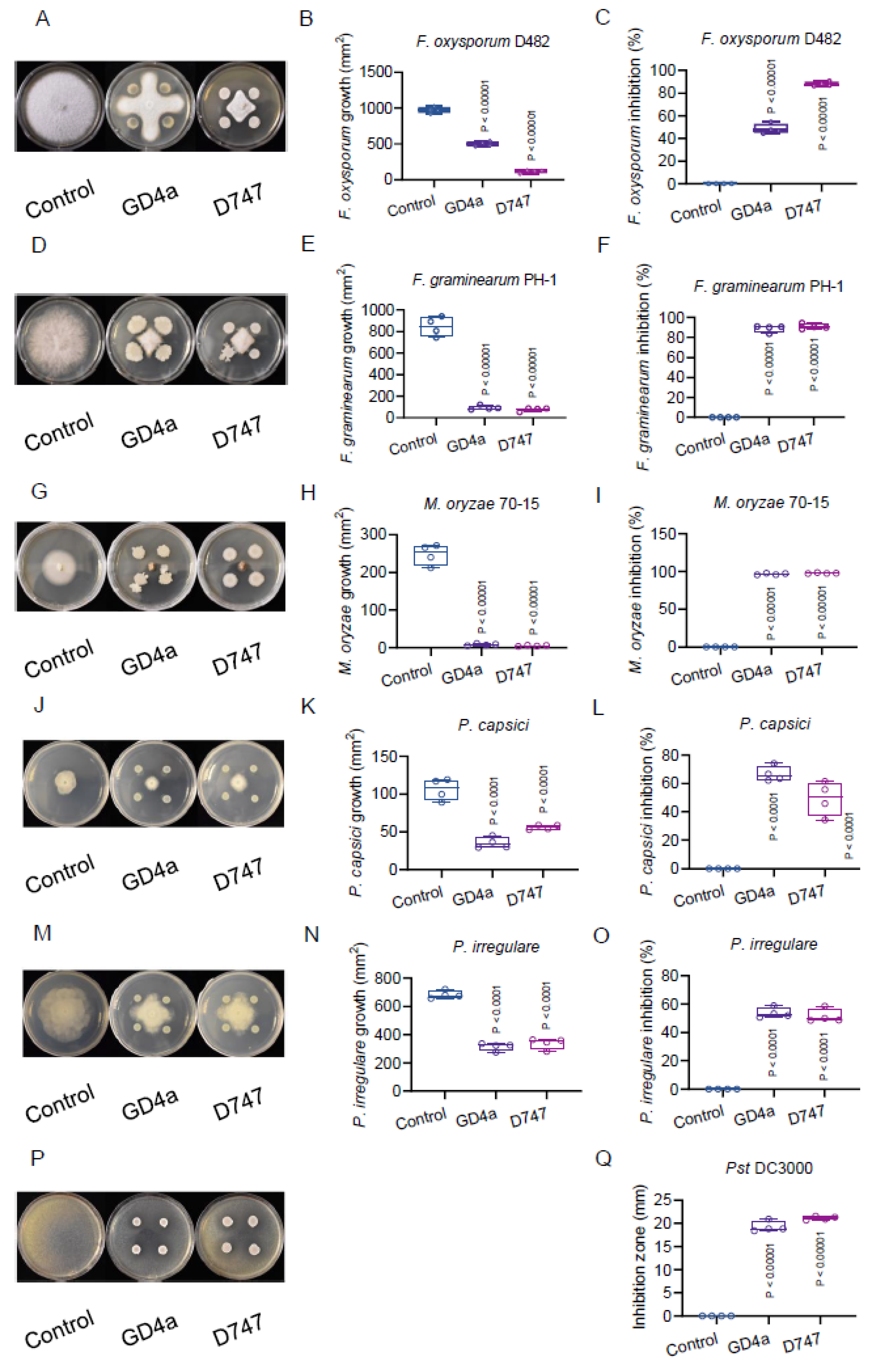 Plants 13 00672 g003 Plants 13 00672 g003