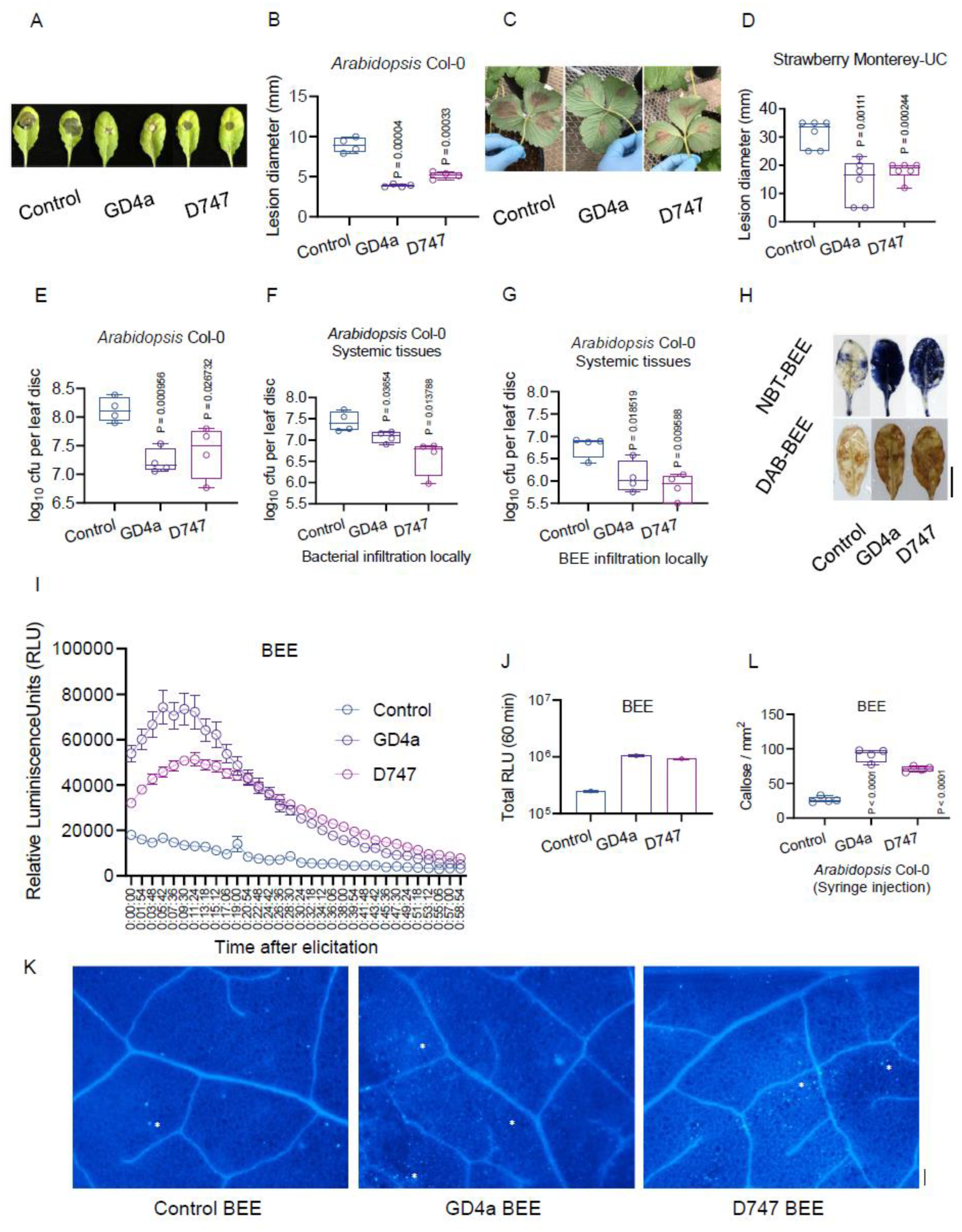 Plants 13 00672 g004 Plants 13 00672 g004