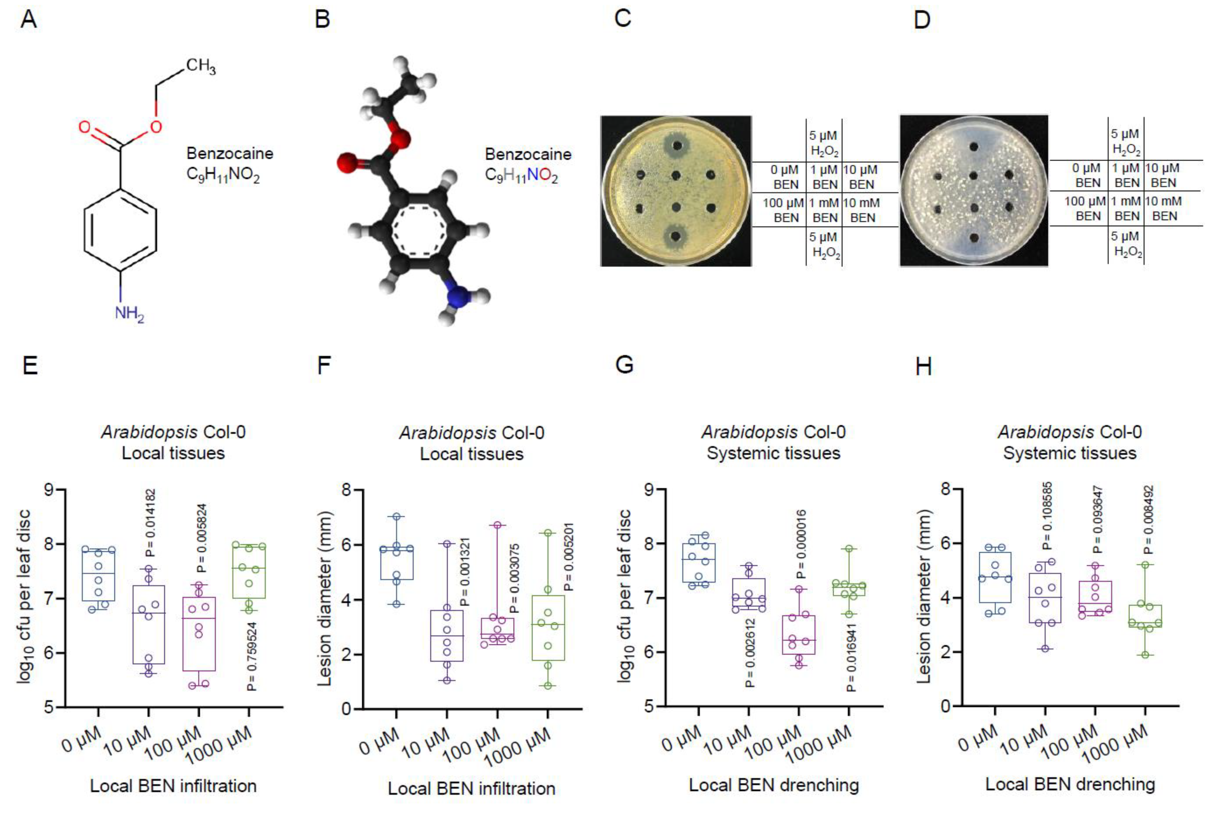 Plants 13 00672 g006 Plants 13 00672 g006
