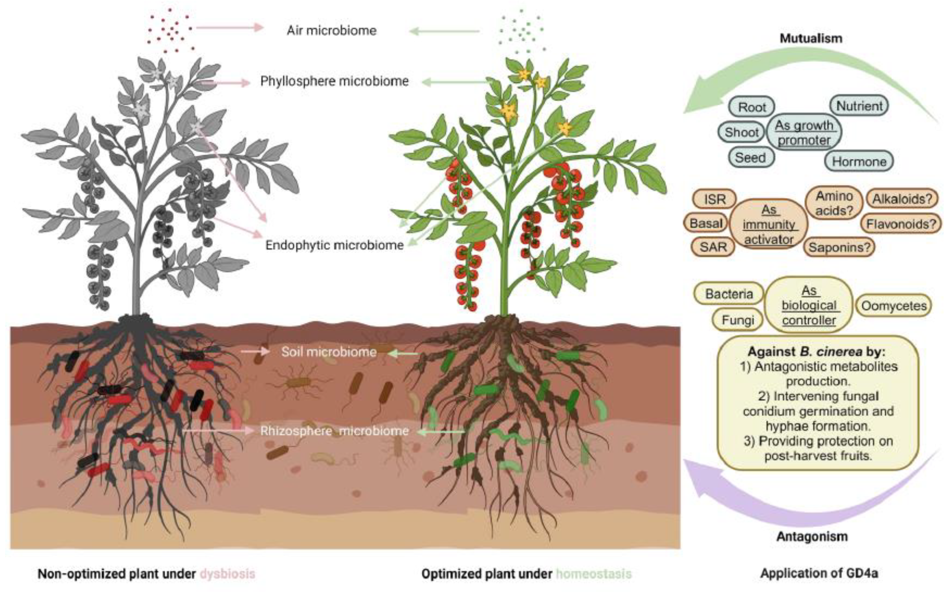 Plants 13 00672 g010 Plants 13 00672 g010
