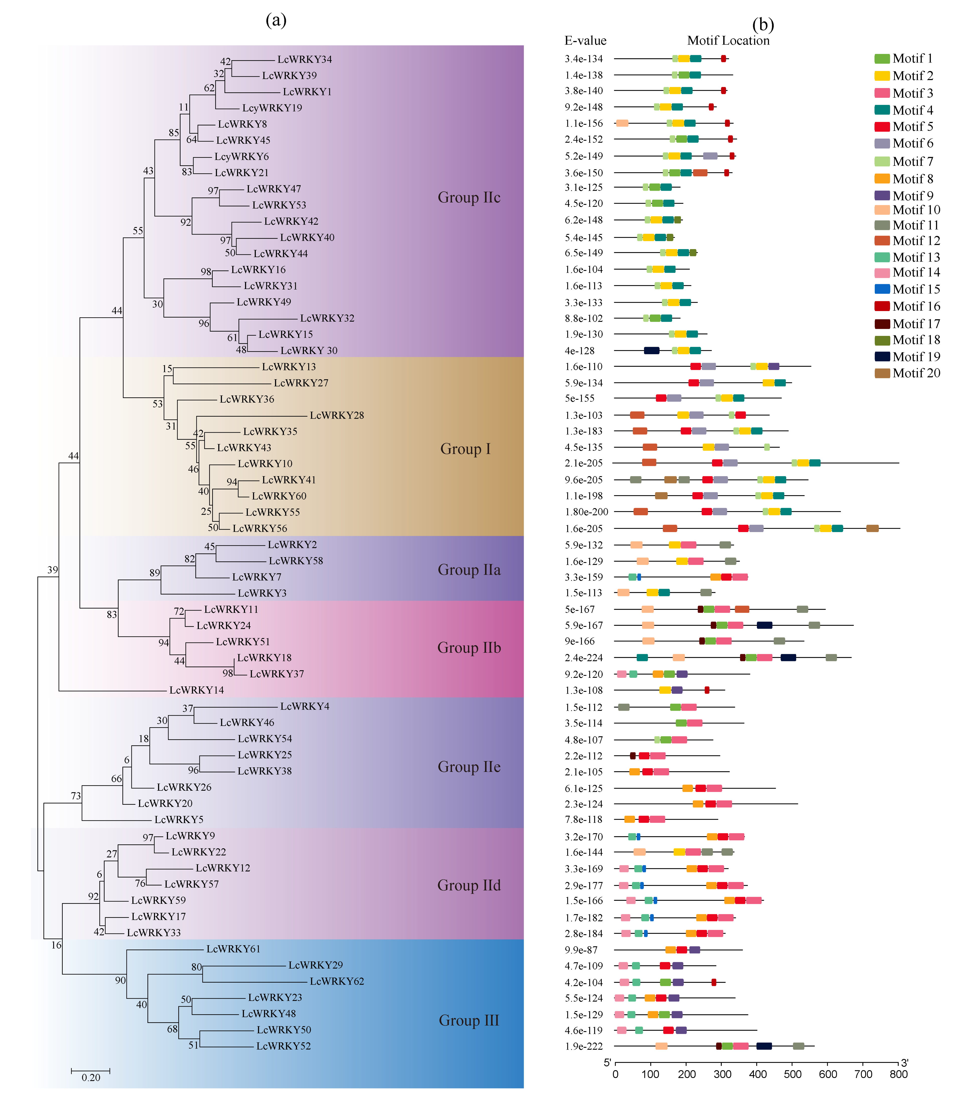 Plants 13 00676 g003