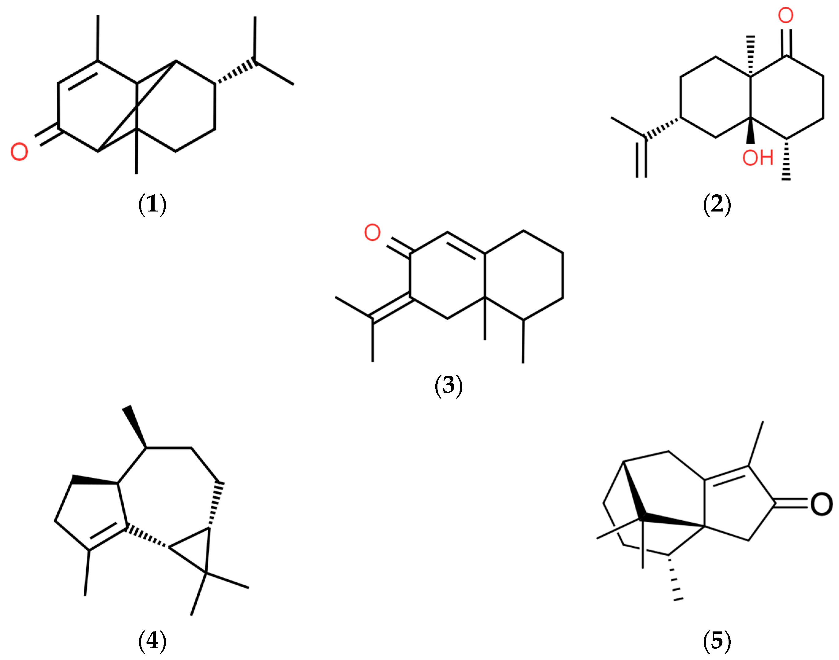 Plants 13 00689 g001 Plants 13 00689 g001