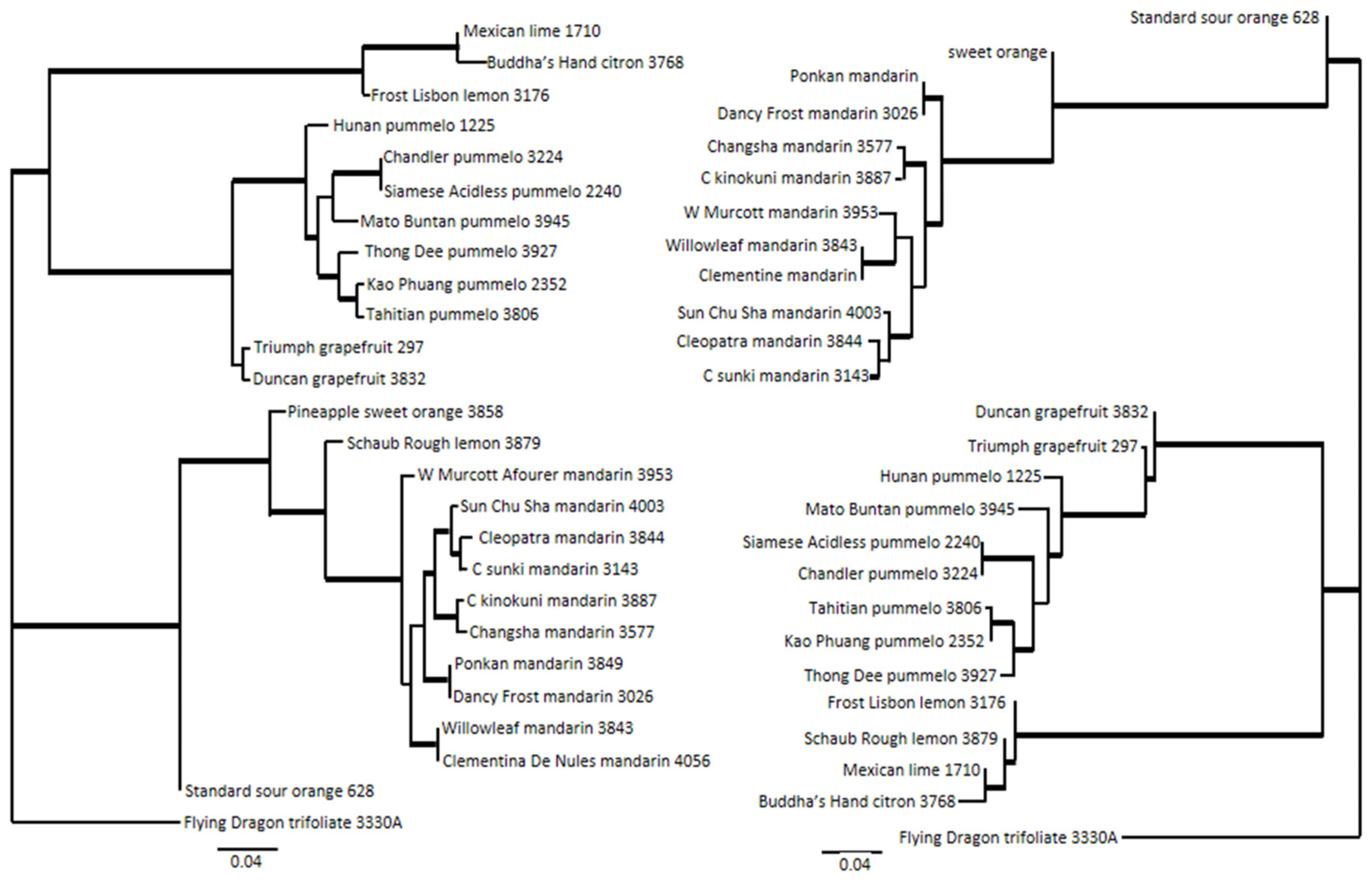 Plants 13 00691 g008