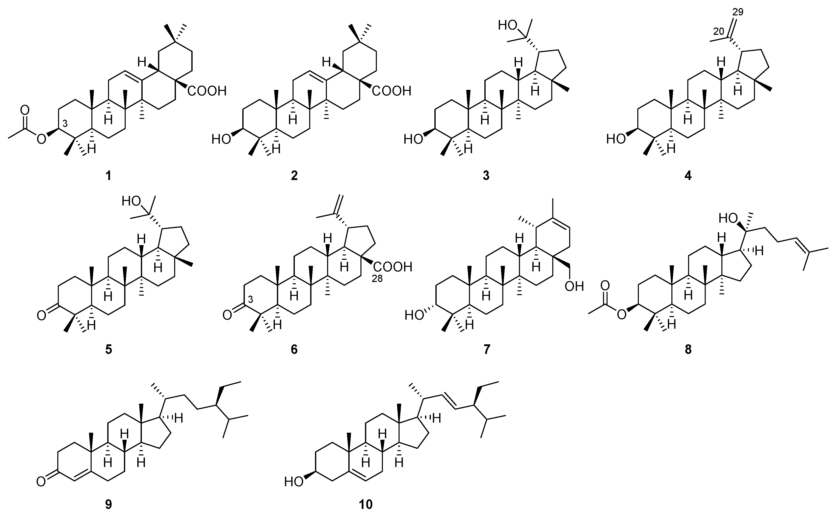 Plants 13 00692 g001 Plants 13 00692 g001