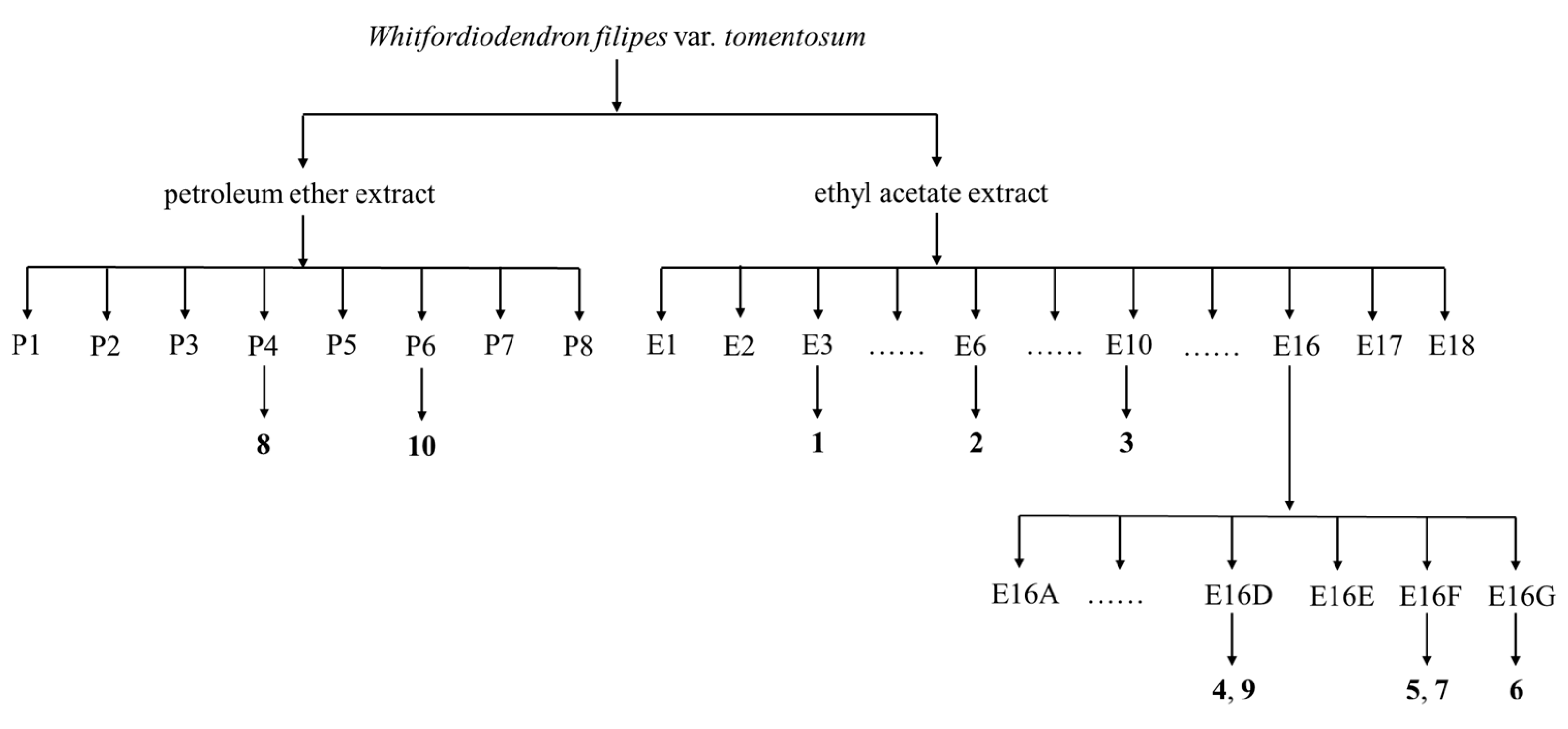 Plants 13 00692 g003 Plants 13 00692 g003