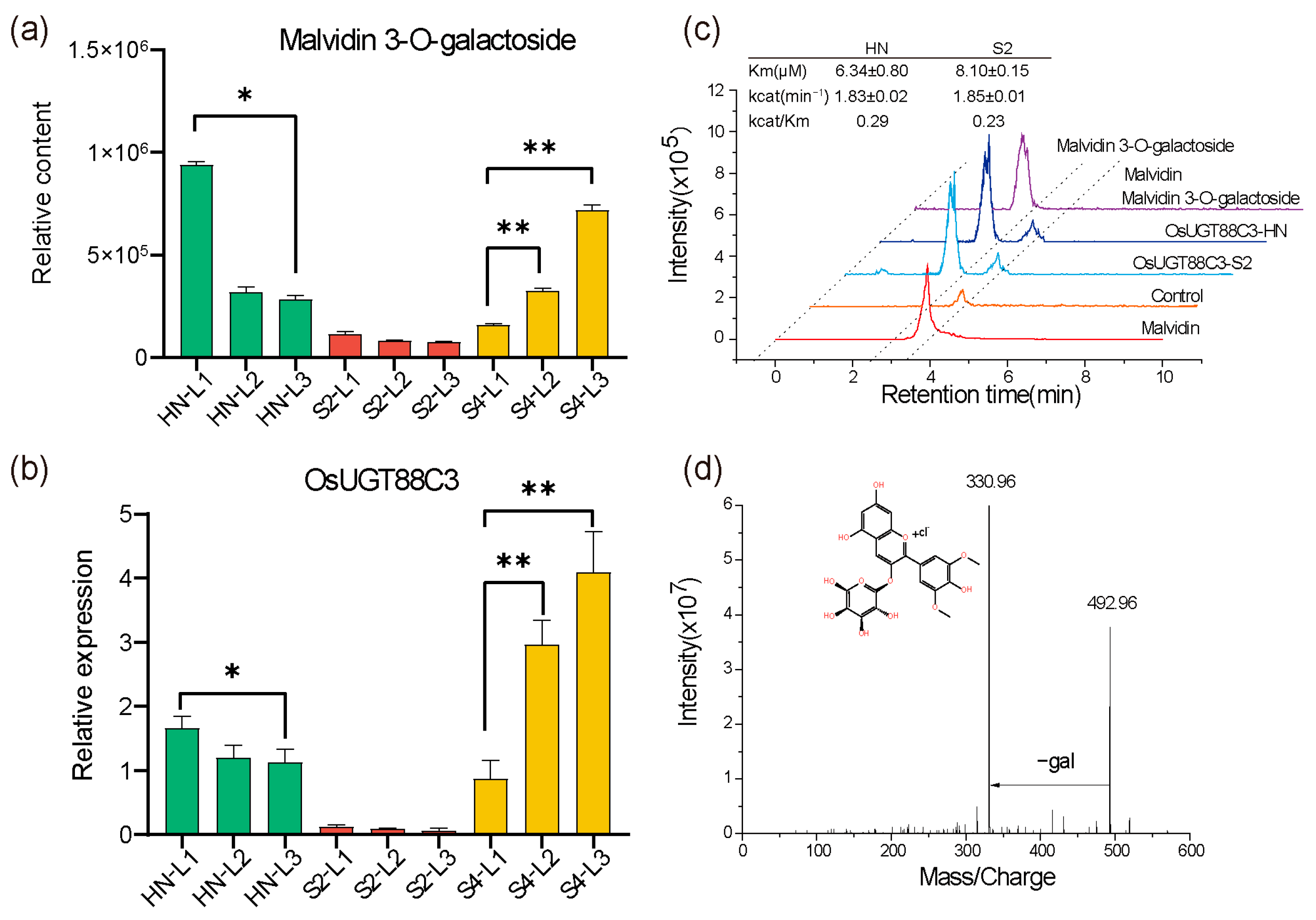 Plants 13 00697 g004