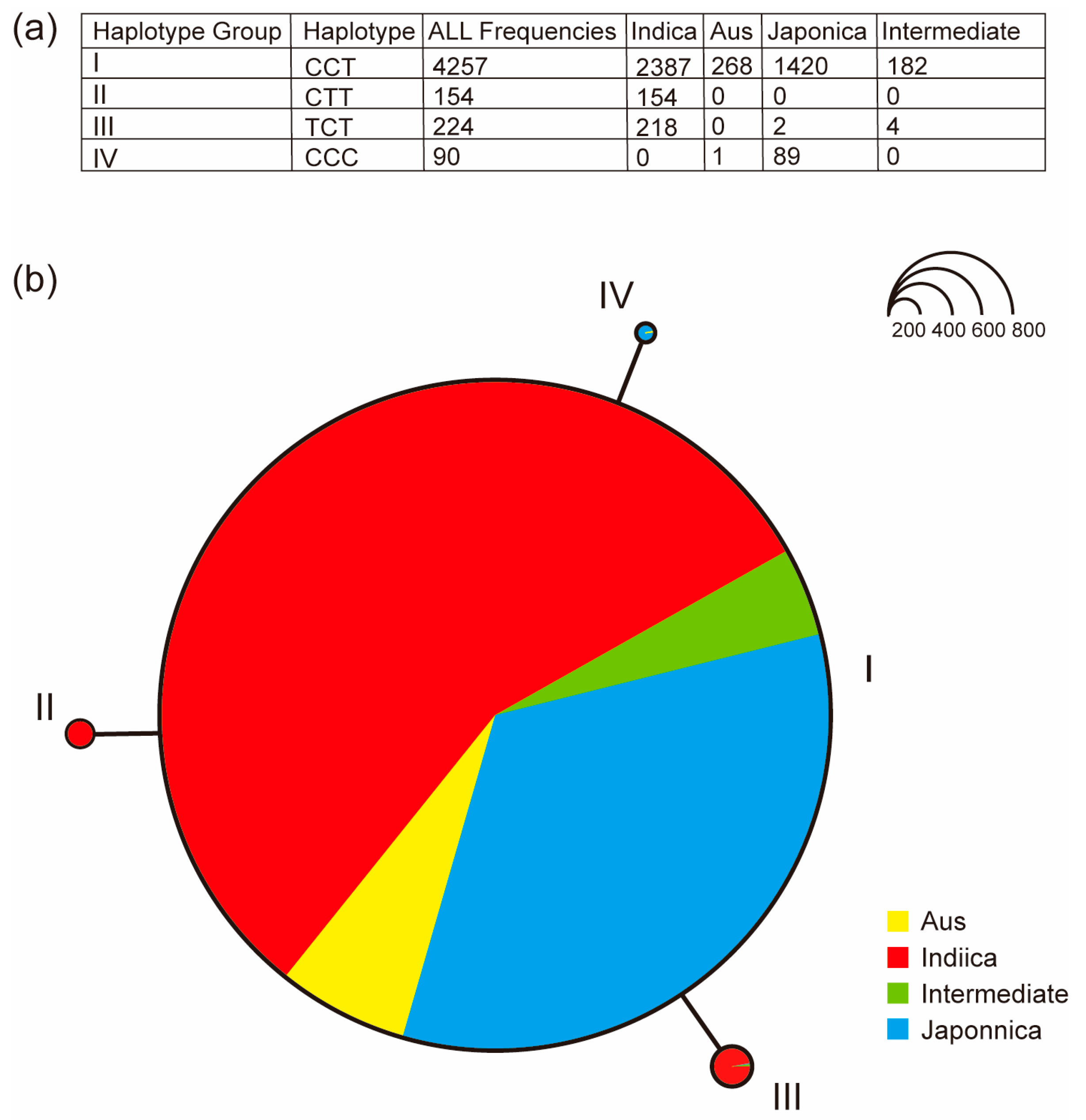 Plants 13 00697 g006