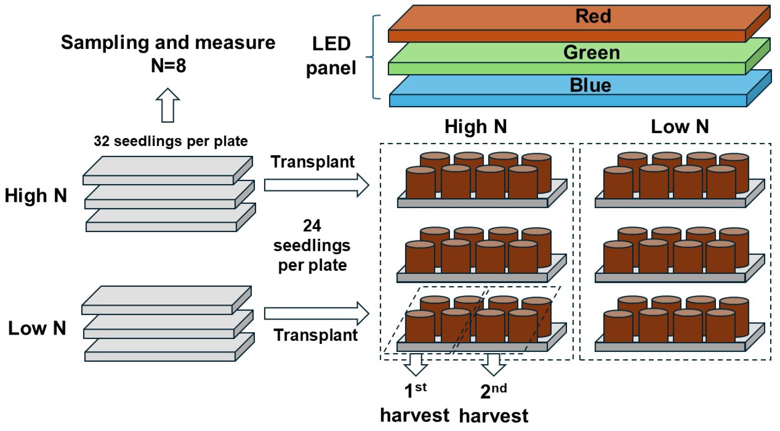 Plants 13 00705 g012 Plants 13 00705 g012