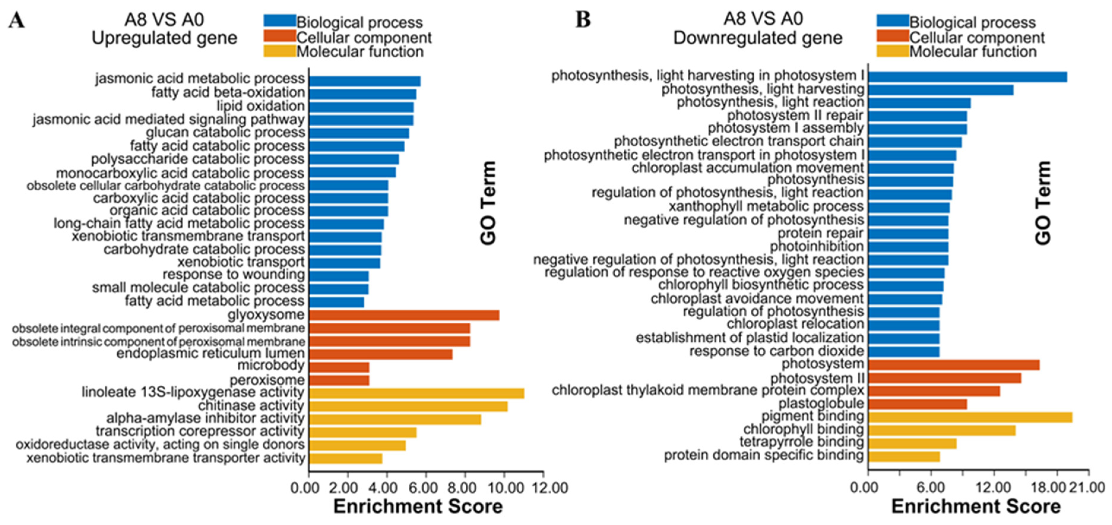 Plants 13 00712 g003a