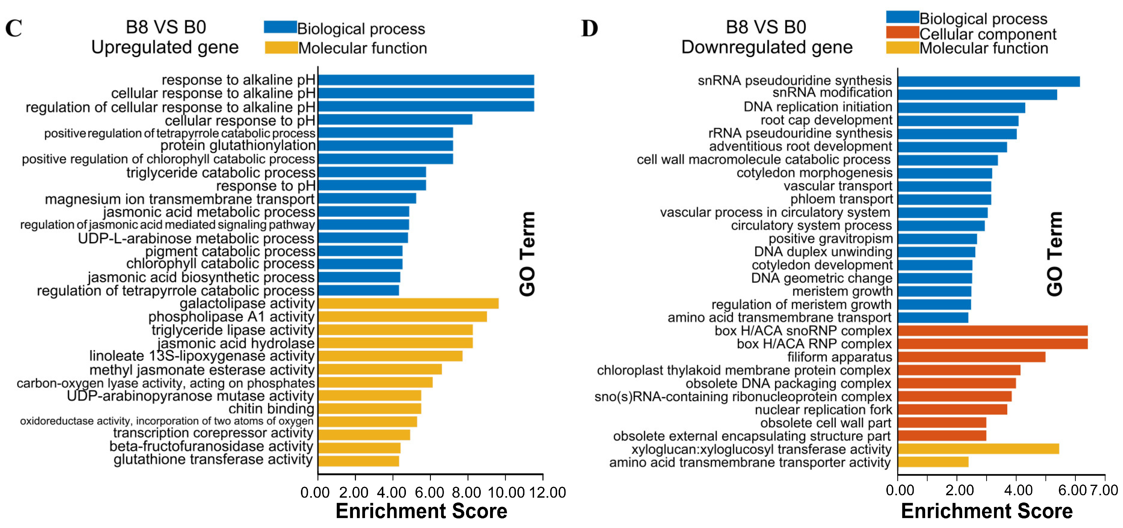 Plants 13 00712 g003b