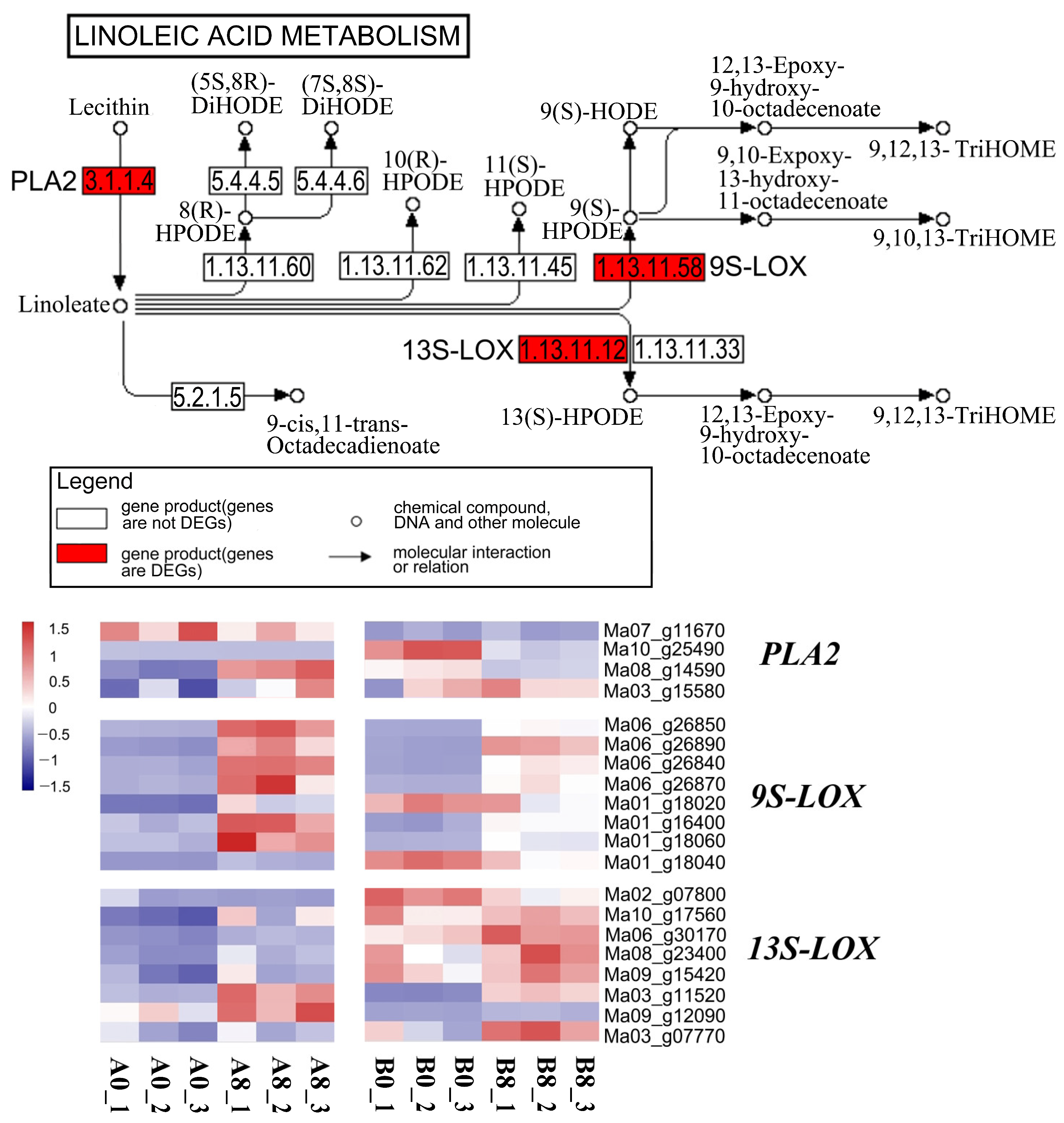 Plants 13 00712 g007