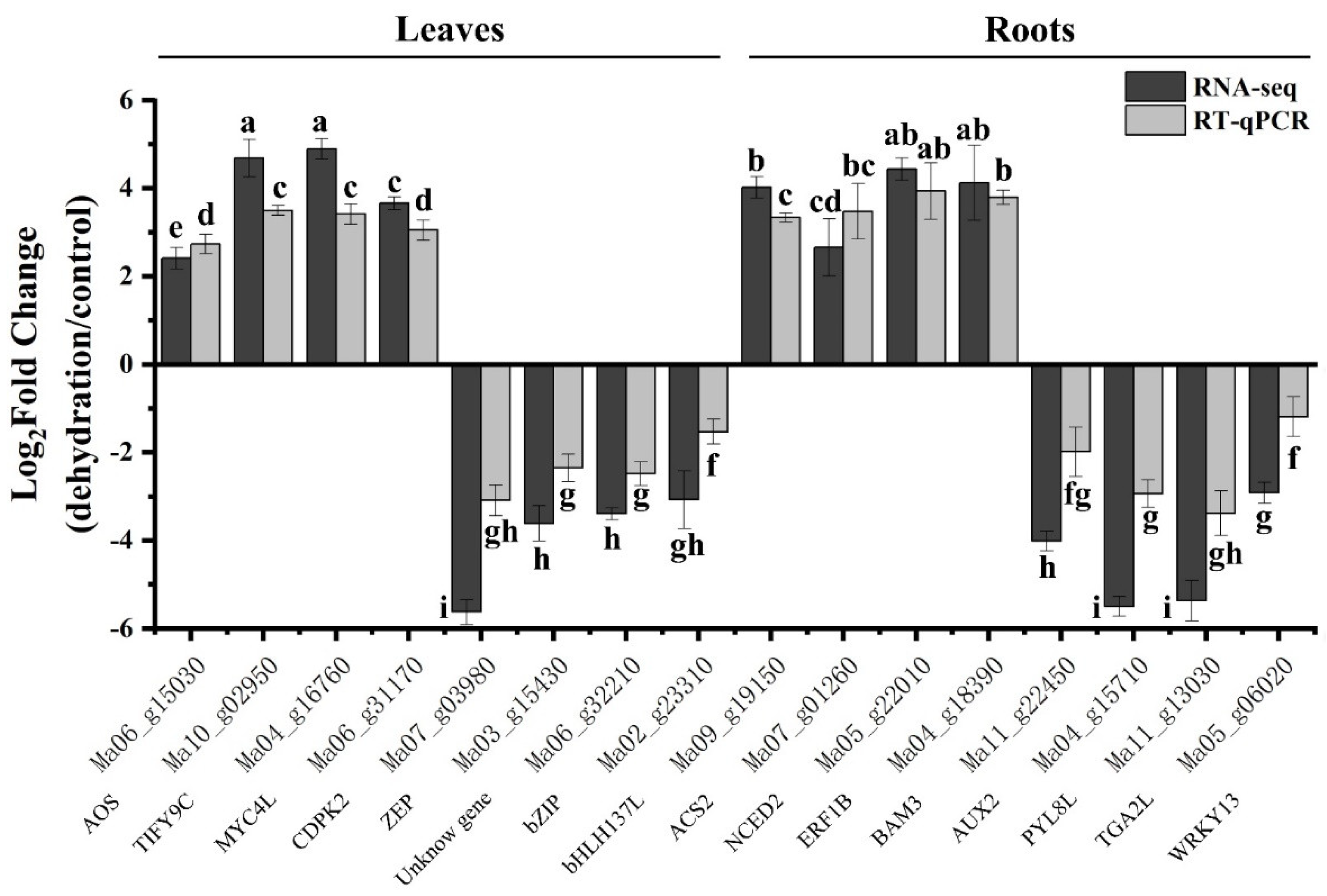 Plants 13 00712 g009
