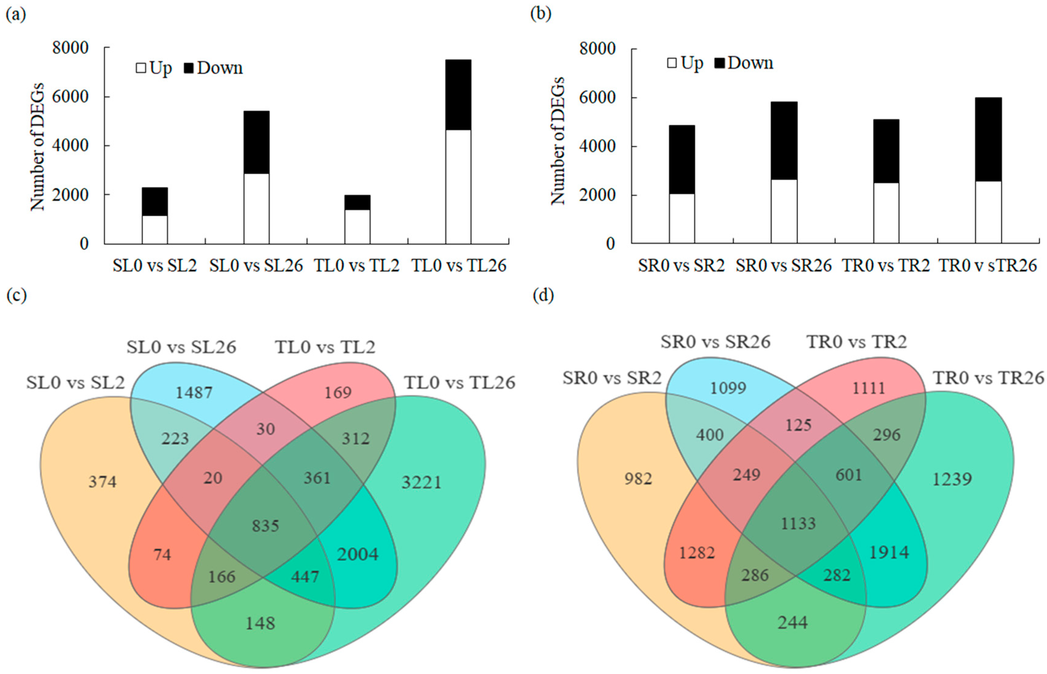 Plants 13 00714 g002