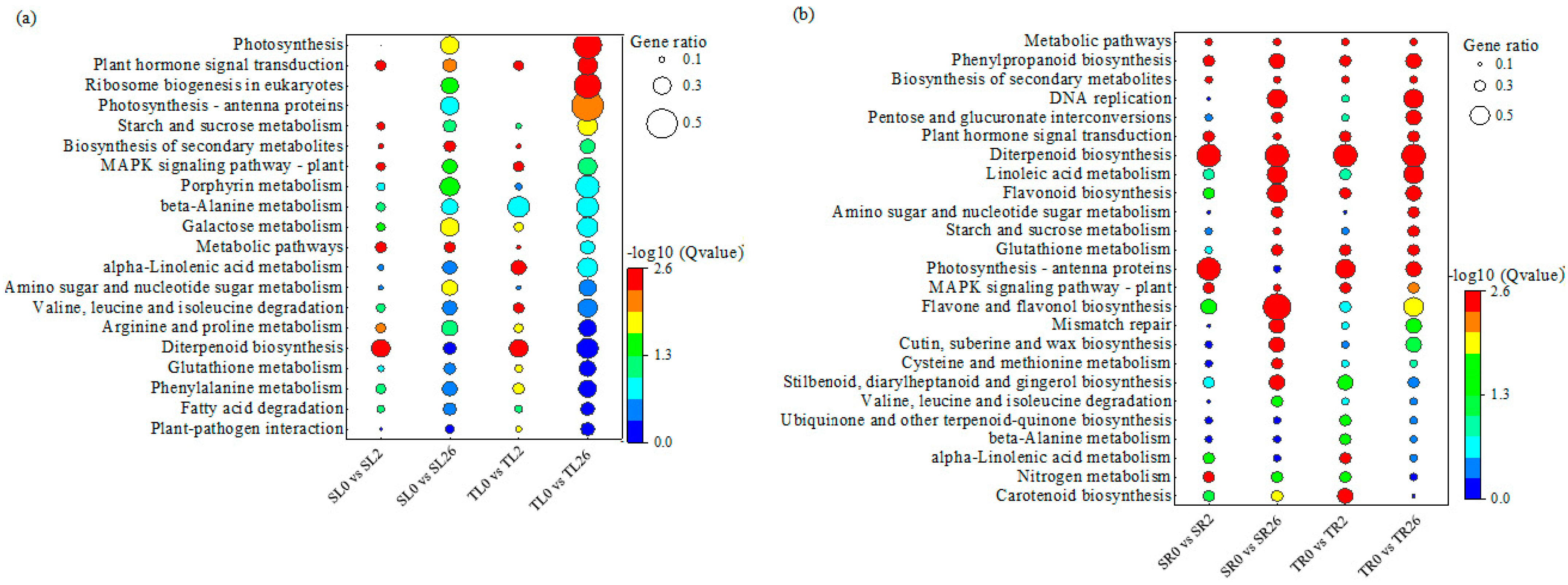 Plants 13 00714 g003