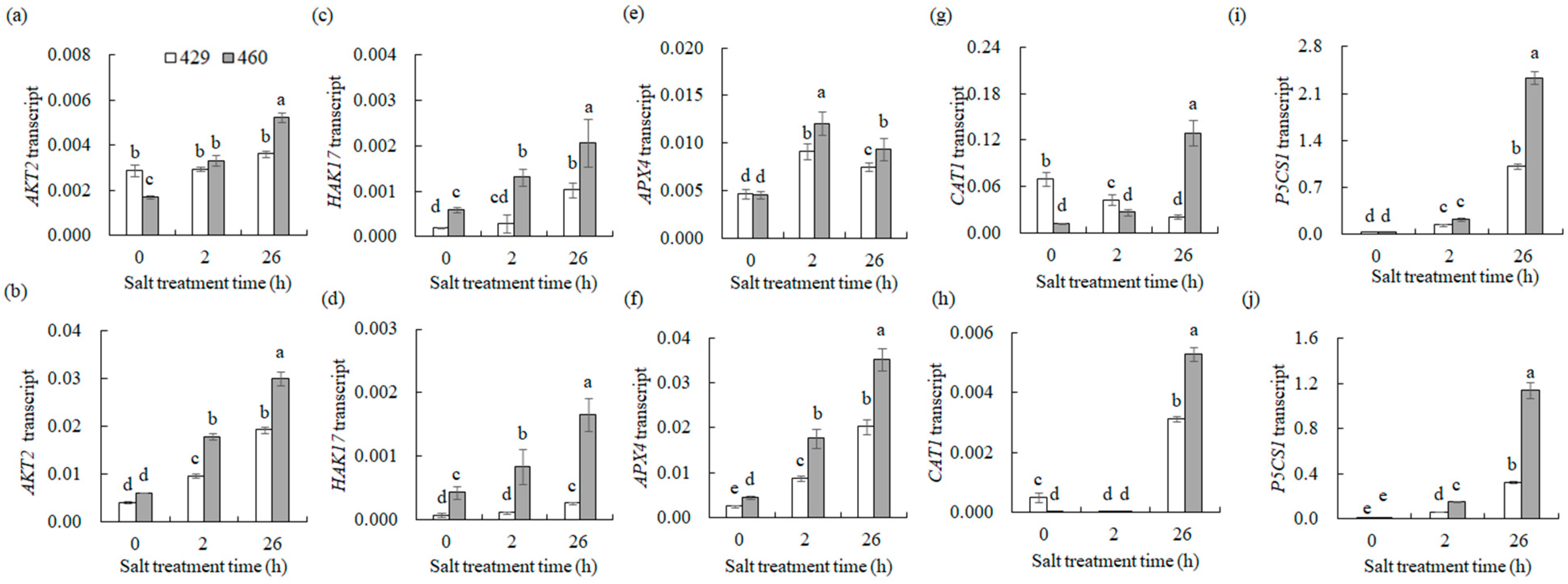Plants 13 00714 g009