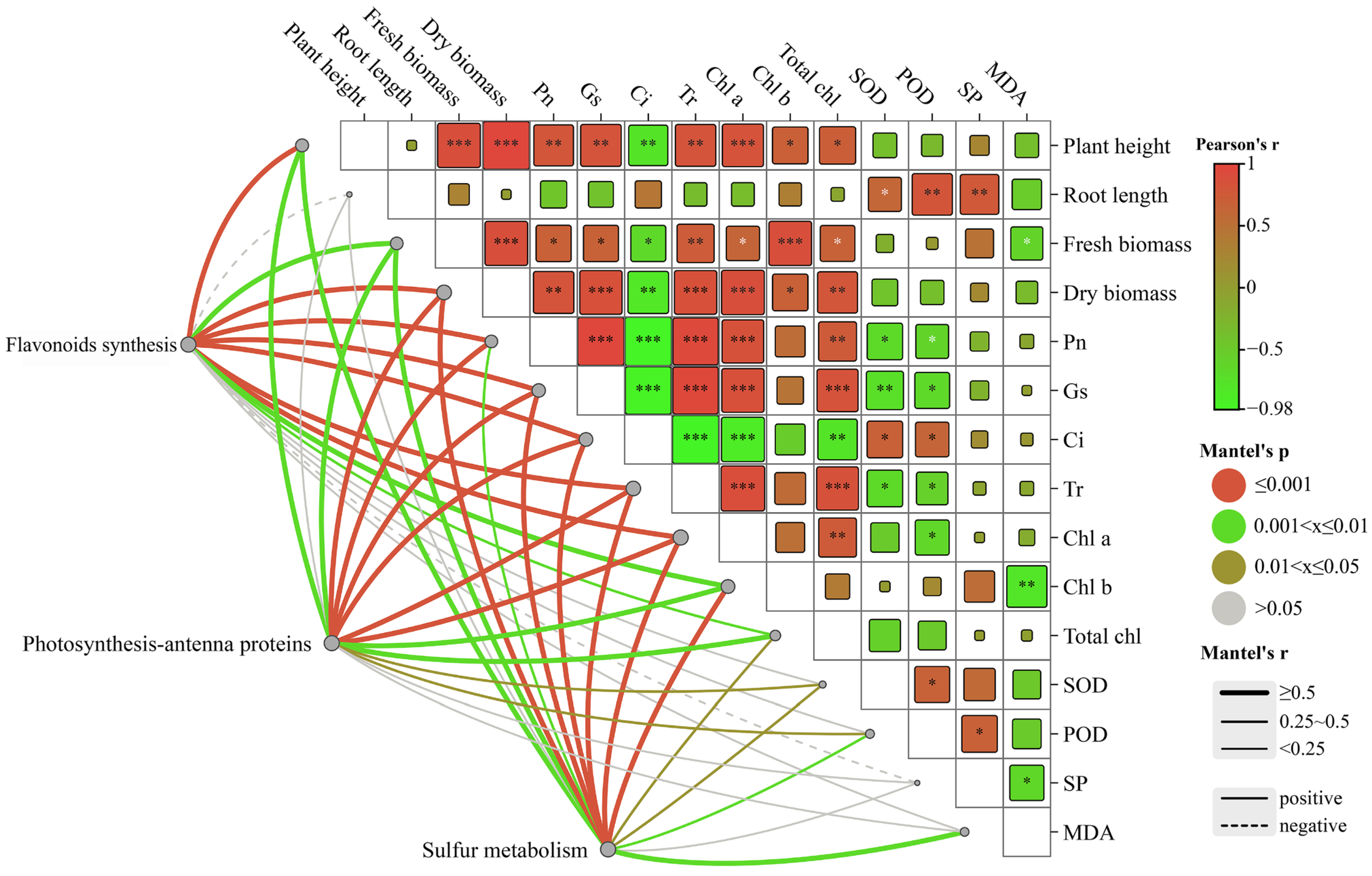 Plants 13 00716 g007