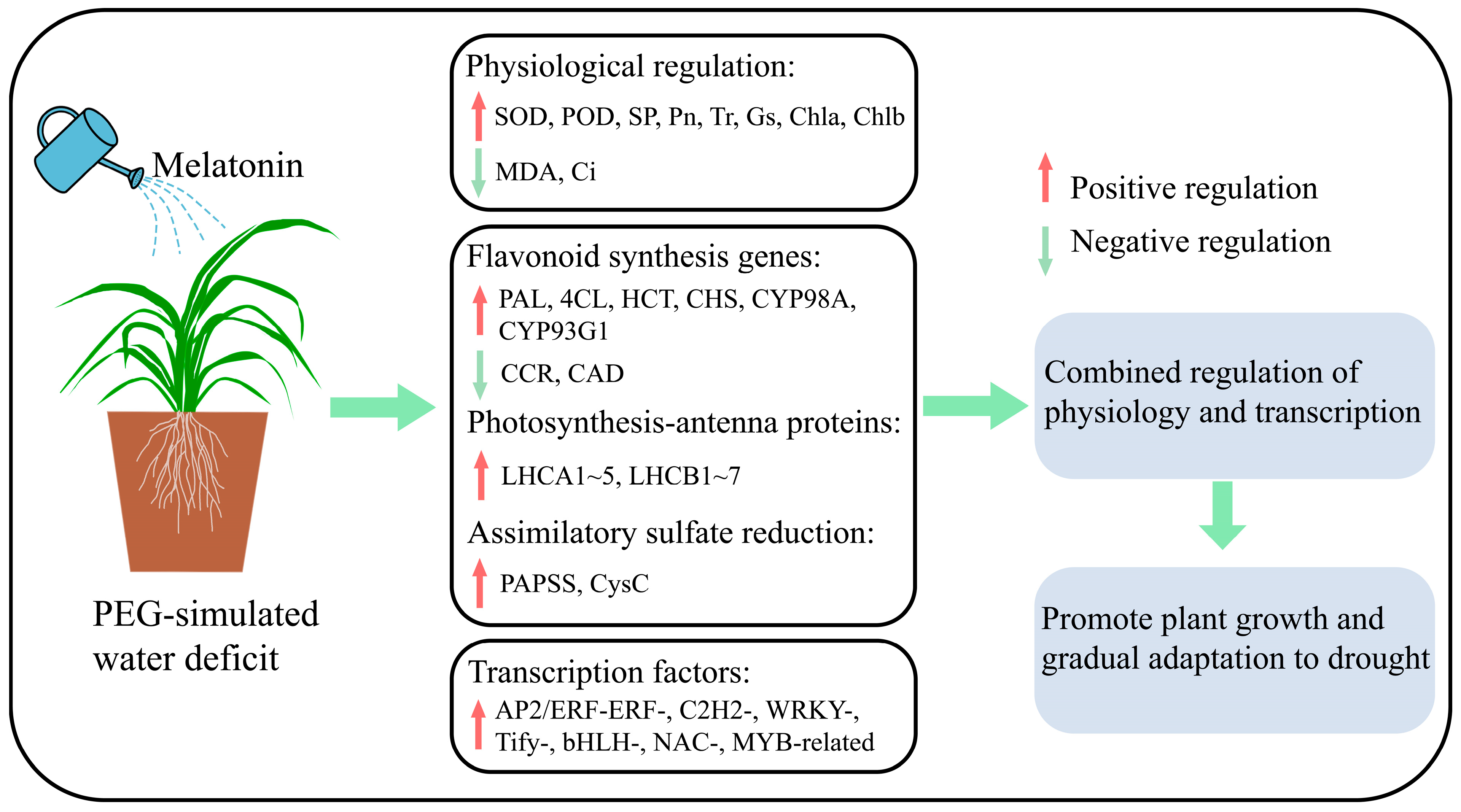 Plants 13 00716 g008