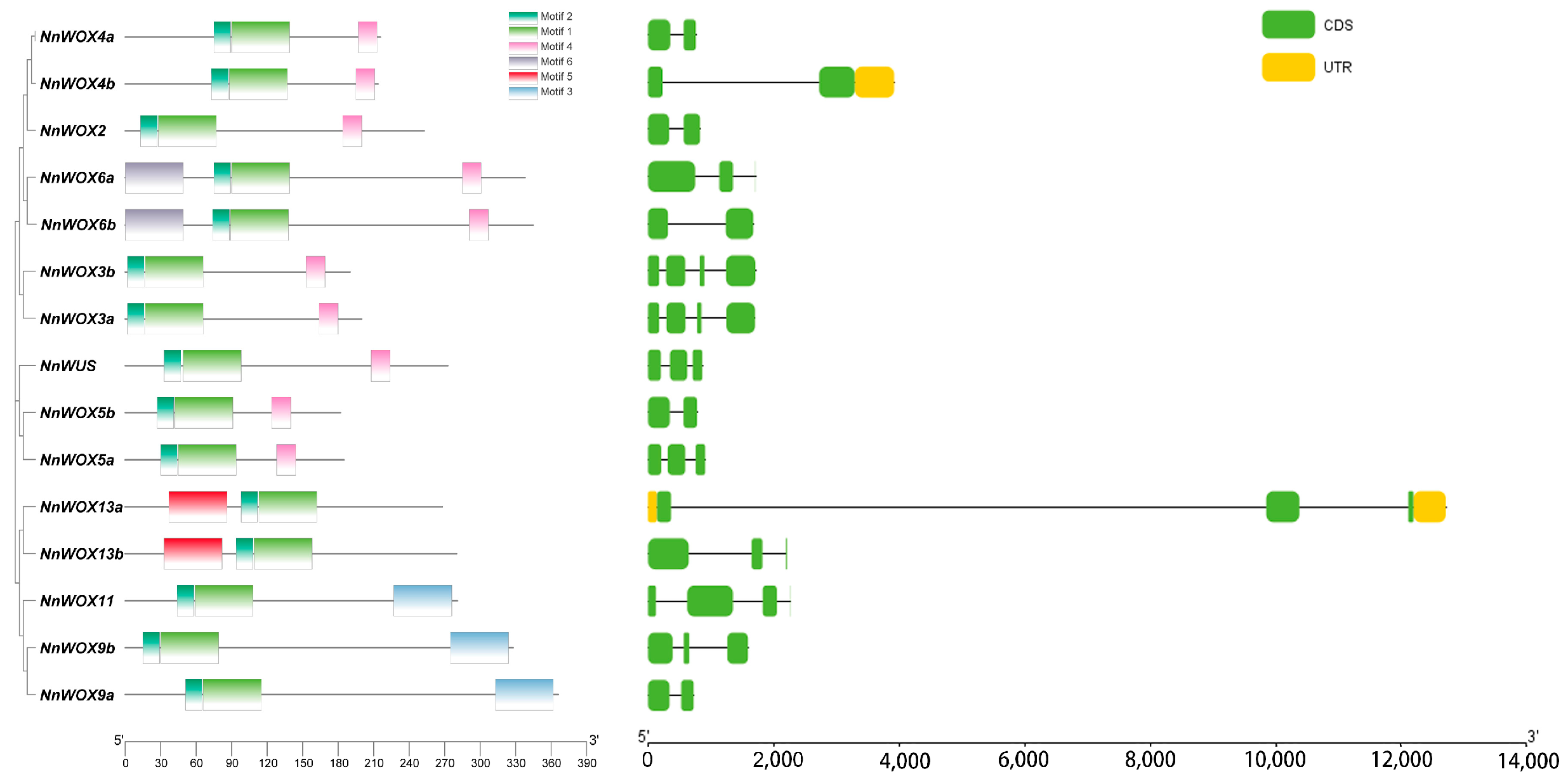 Plants 13 00720 g002