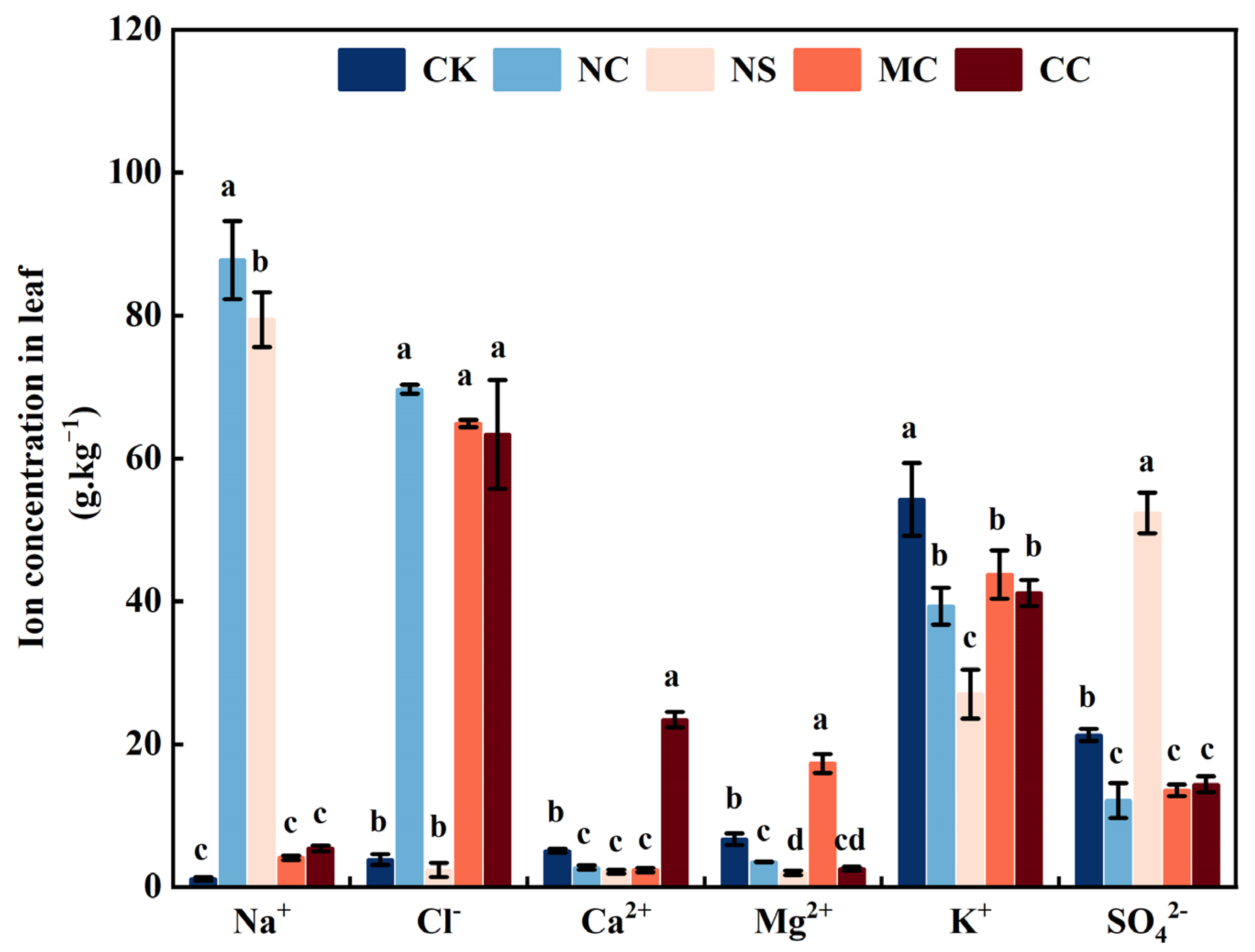 Plants 13 00721 g002