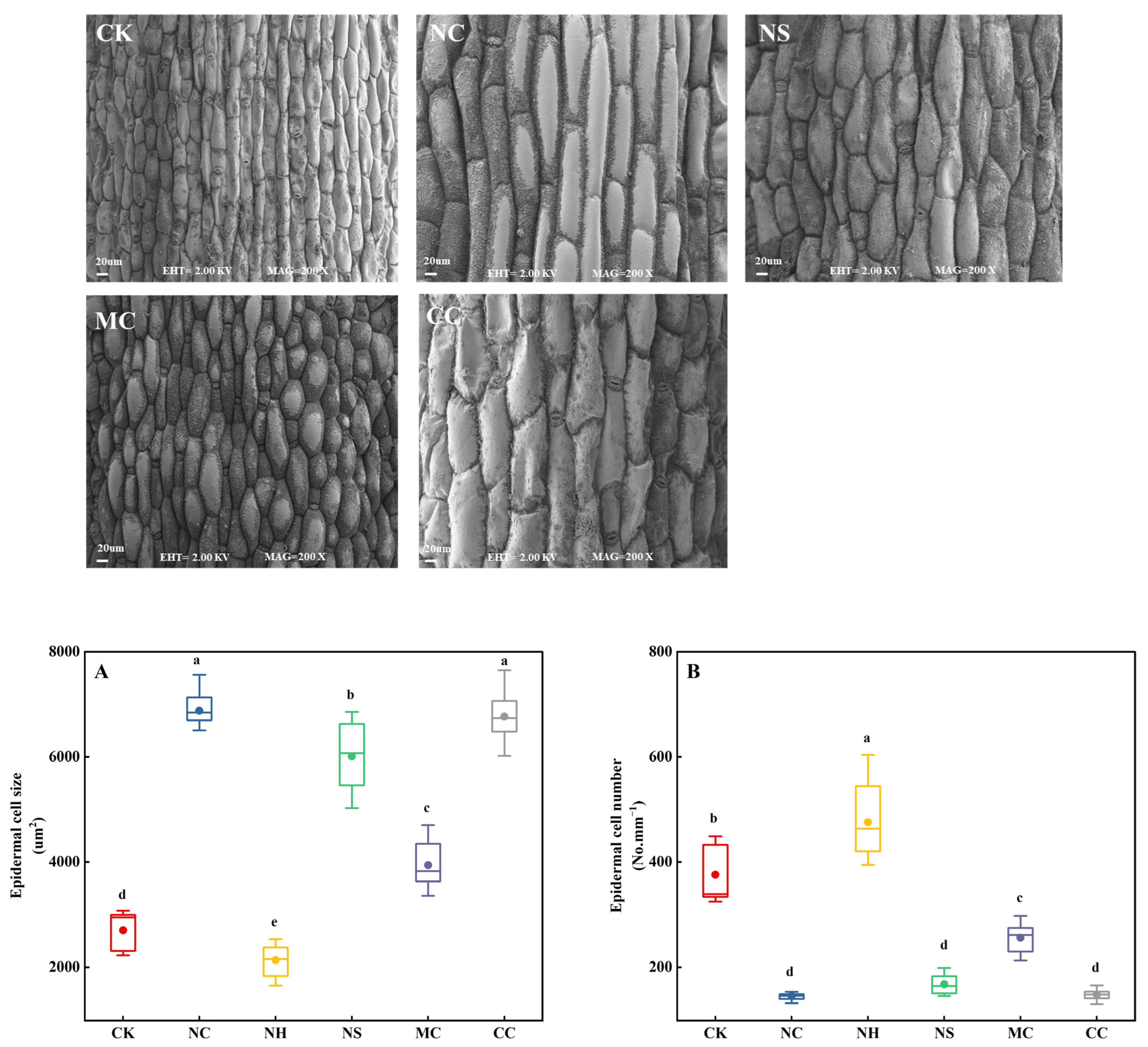 Plants 13 00721 g003